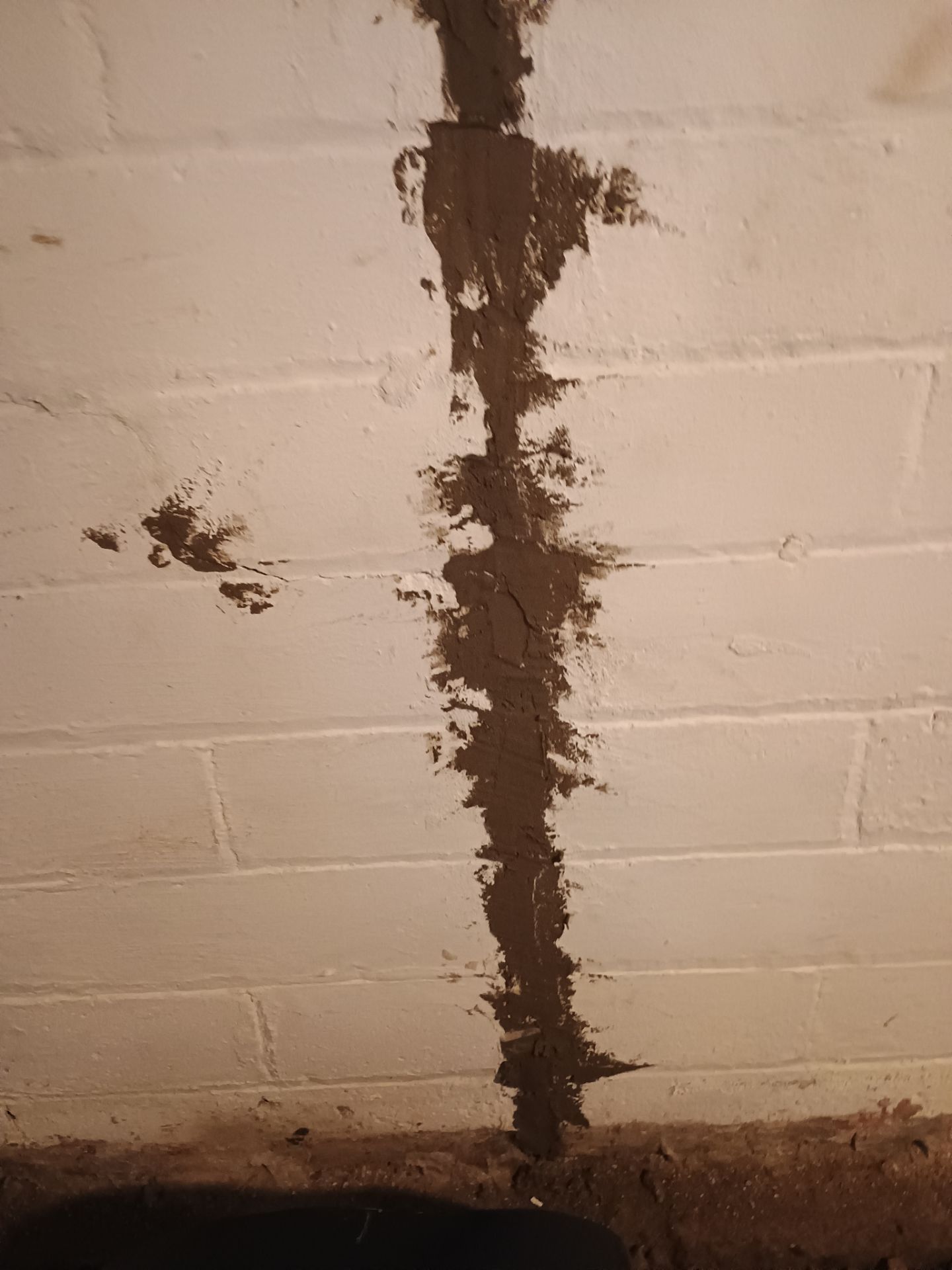 Updating Taylor's Waterproofing System by Waterproofing Northeast