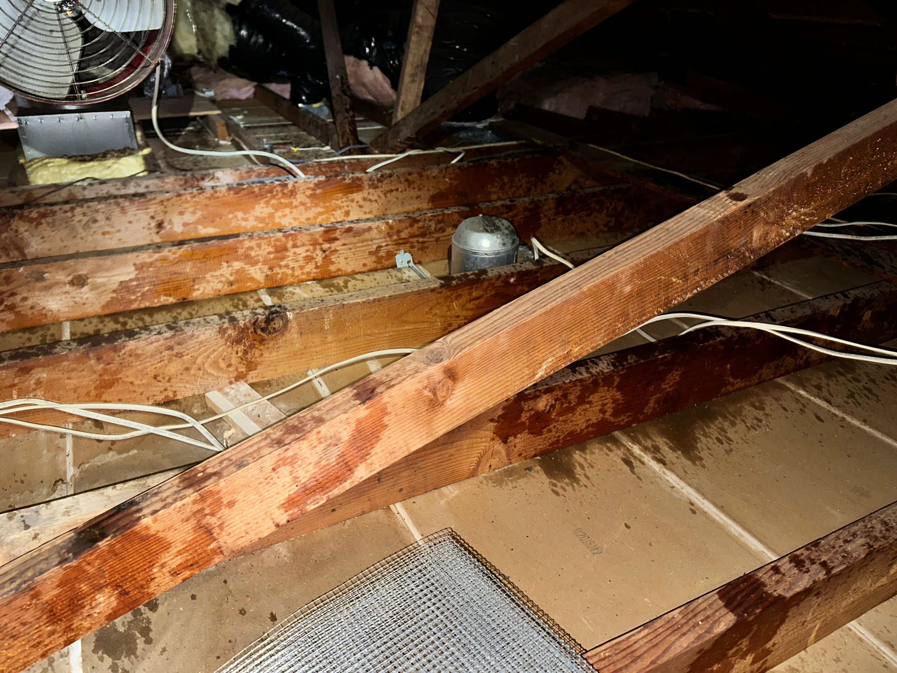 Project in Whittier by Insulation Labs