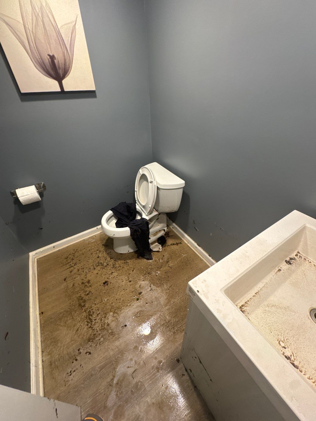 Project in Beverly Hills by EzDry Water Mitigation & Property Restoration