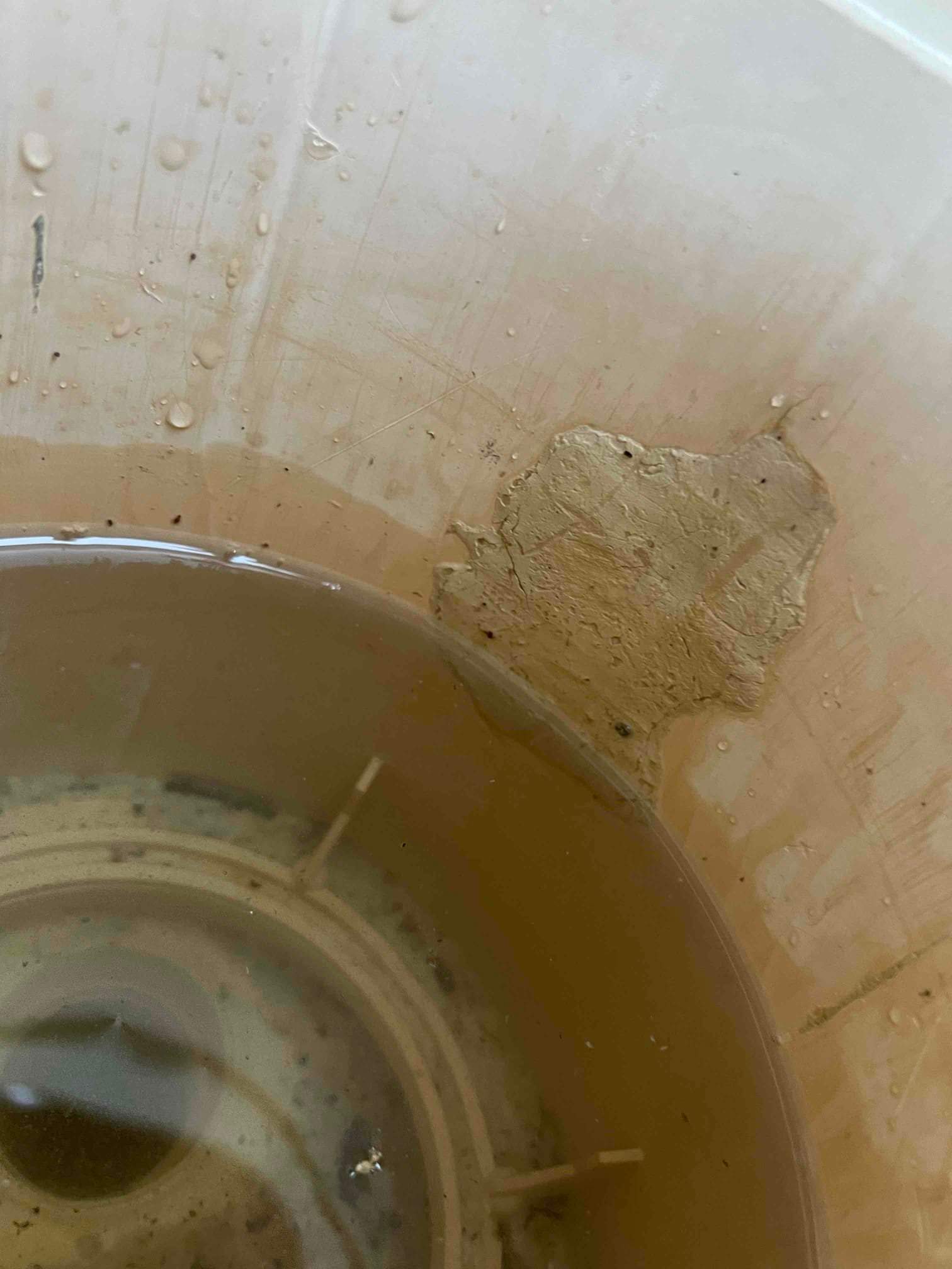 Arlington Skimmer Replacement by Sink or Swim Pools