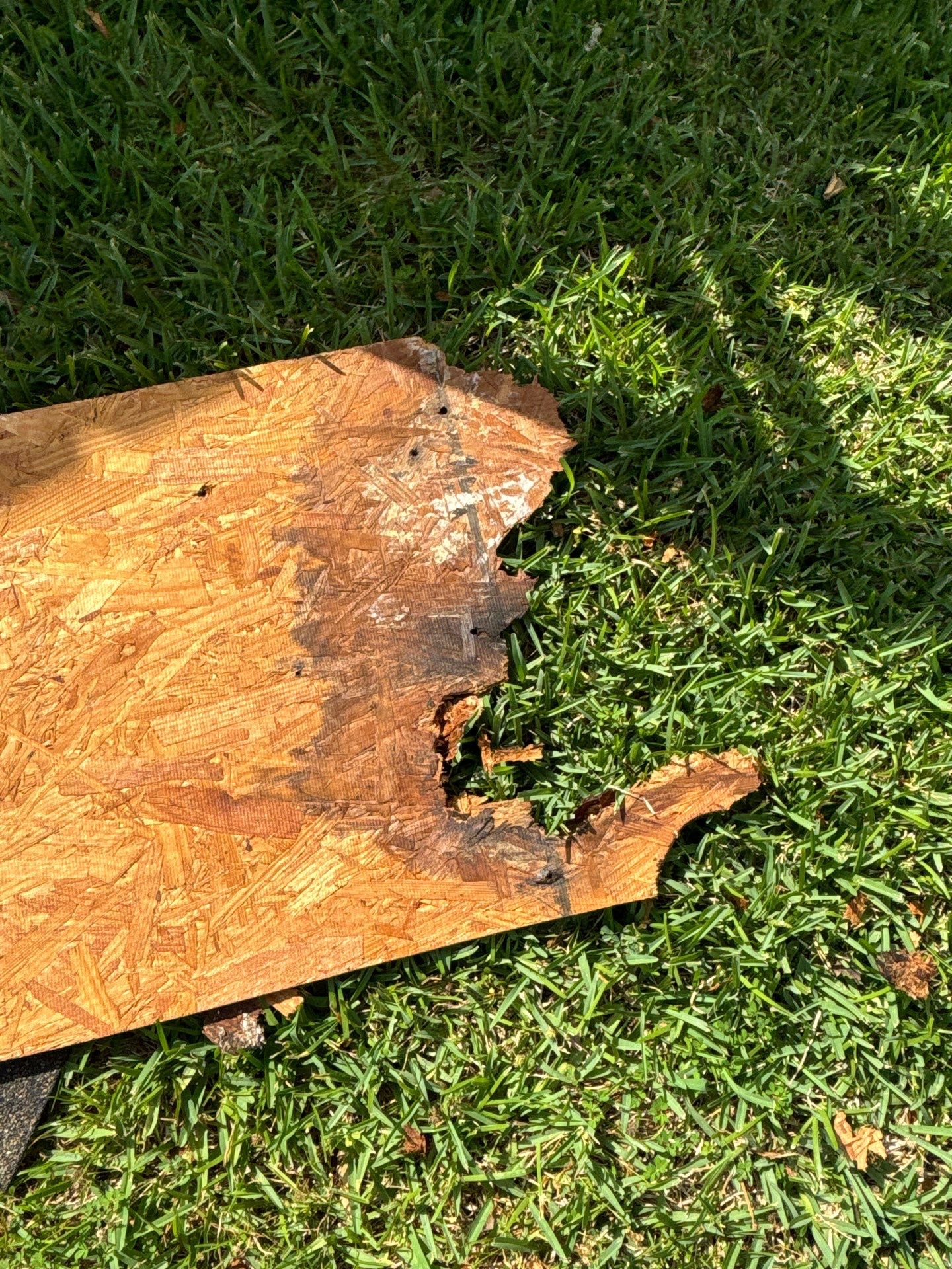 Roof Repair Conroe by Roof Repair Company