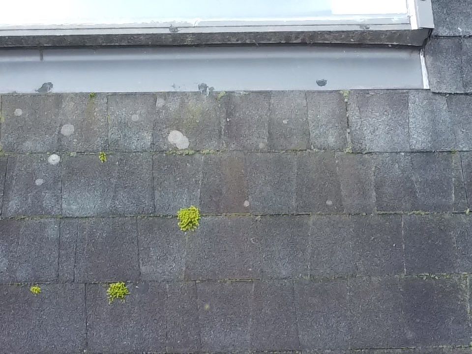 Project in Manakin-Sabot by Roof Maxx of Midlothian