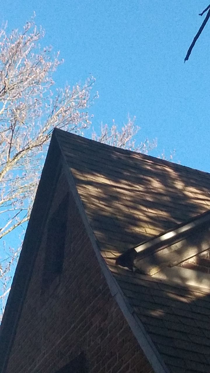 Sandy Graham by Silver Leaf Contracting 