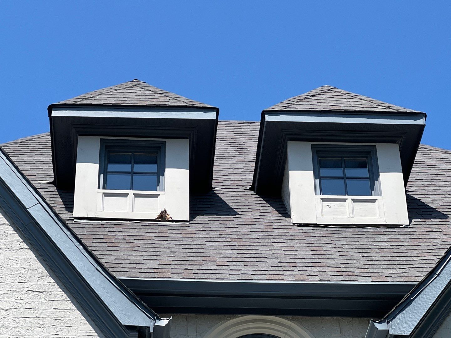 Exterior Painting: Trim, Windows & Doors by Nomad Painting