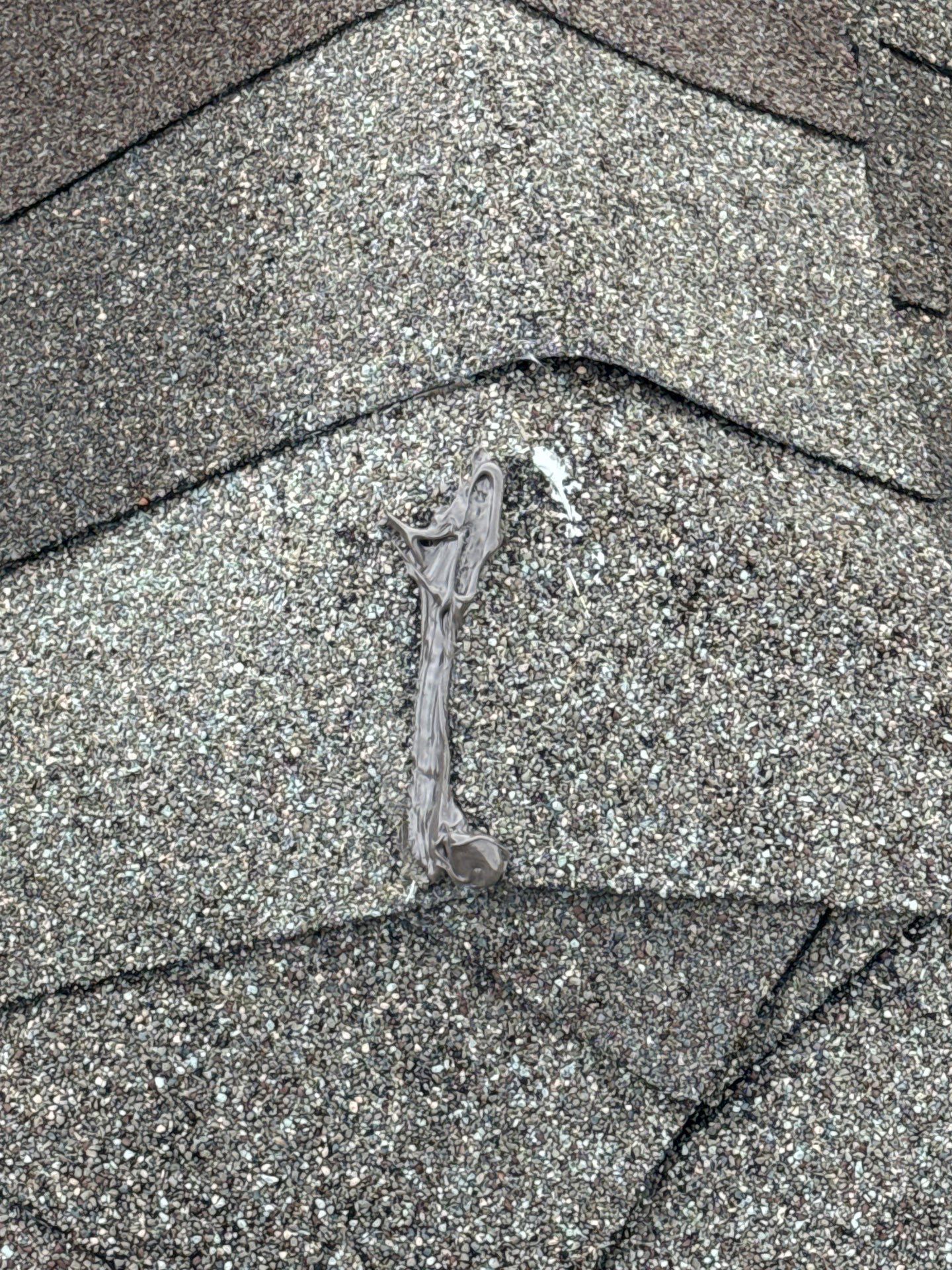 Roof Repair Spring by Roof Repair Company