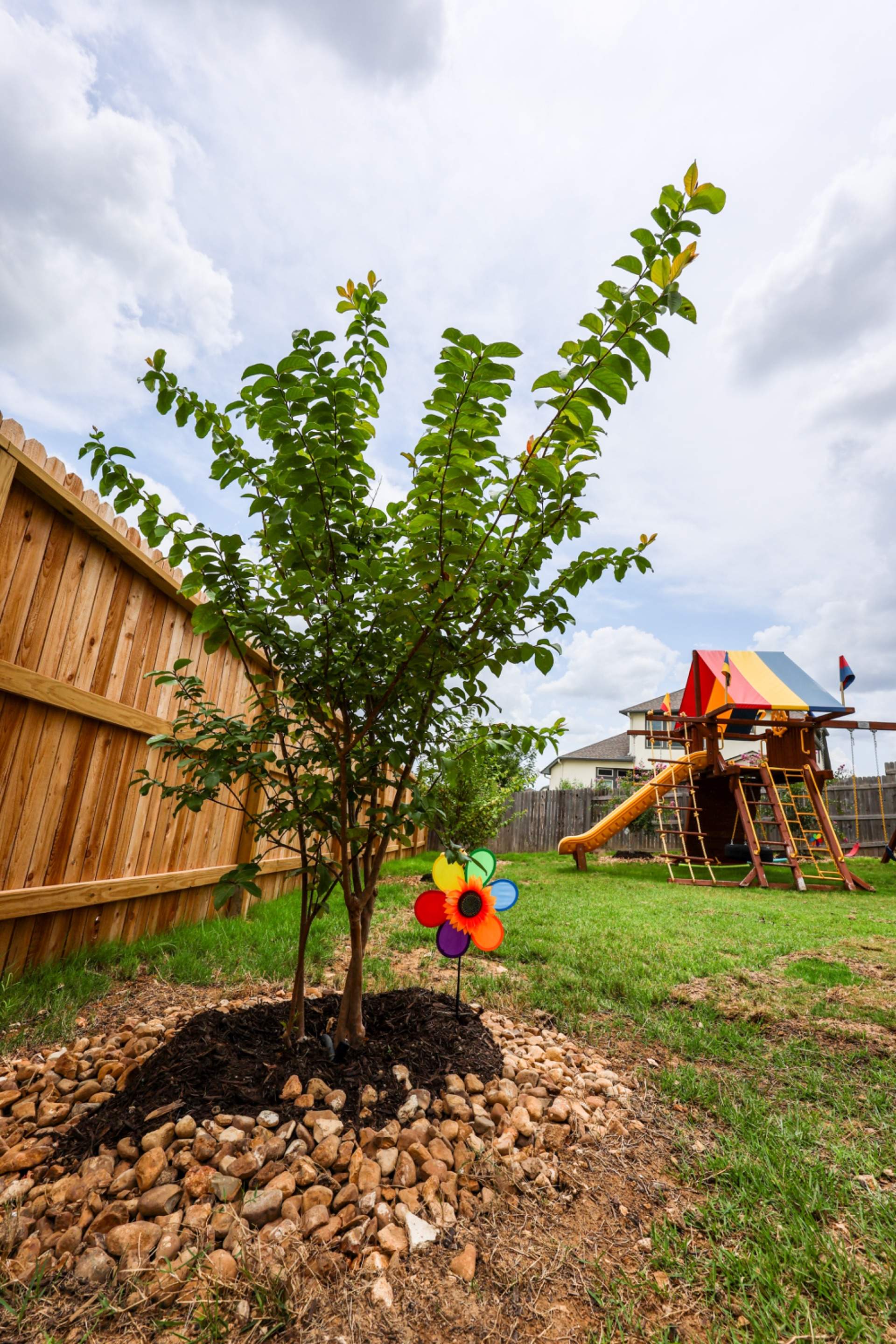 Indian Springs - San Antonio, TX by Hole In One Lawns, LLC