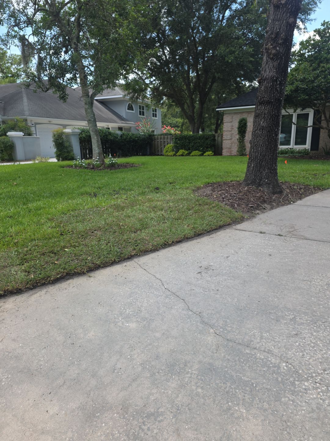 Deerwood Resident | Sod Installation by ProGreen Services