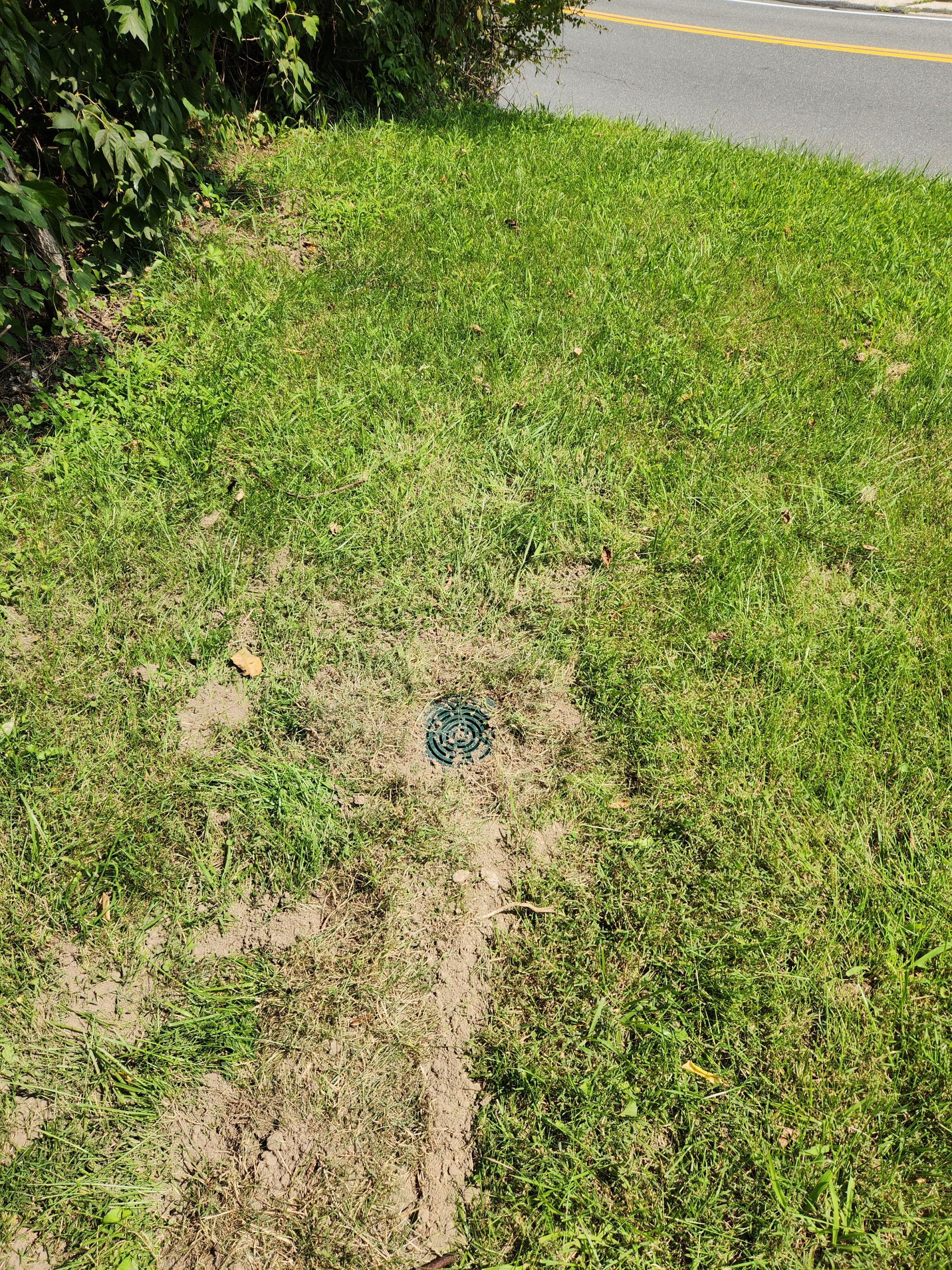 Interior French Drain Newton NJ by Pure Service Pro, LLC 