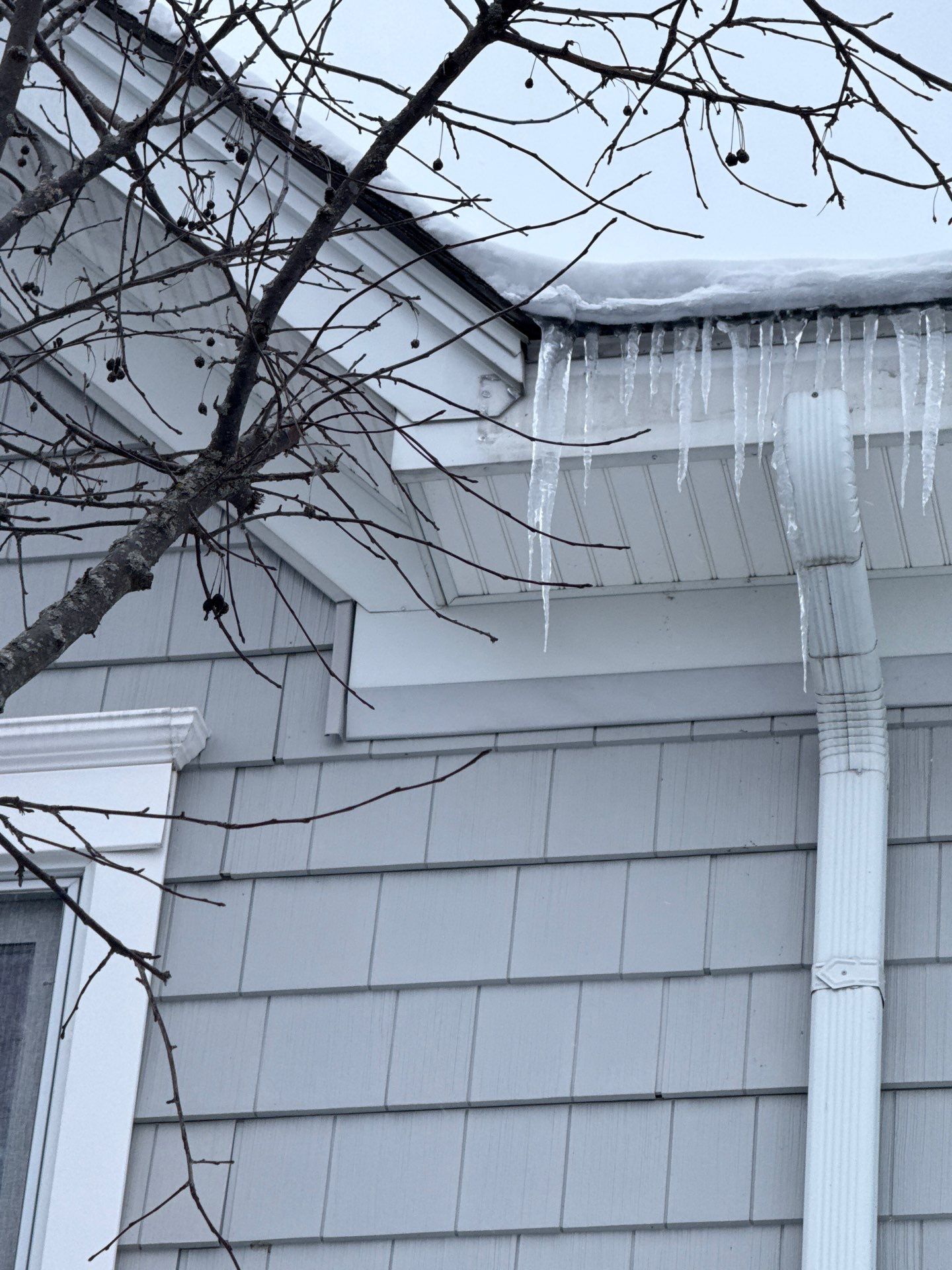 Alanson Gutter and Ice Dam Removal Services by Rainbow Seamless Systems