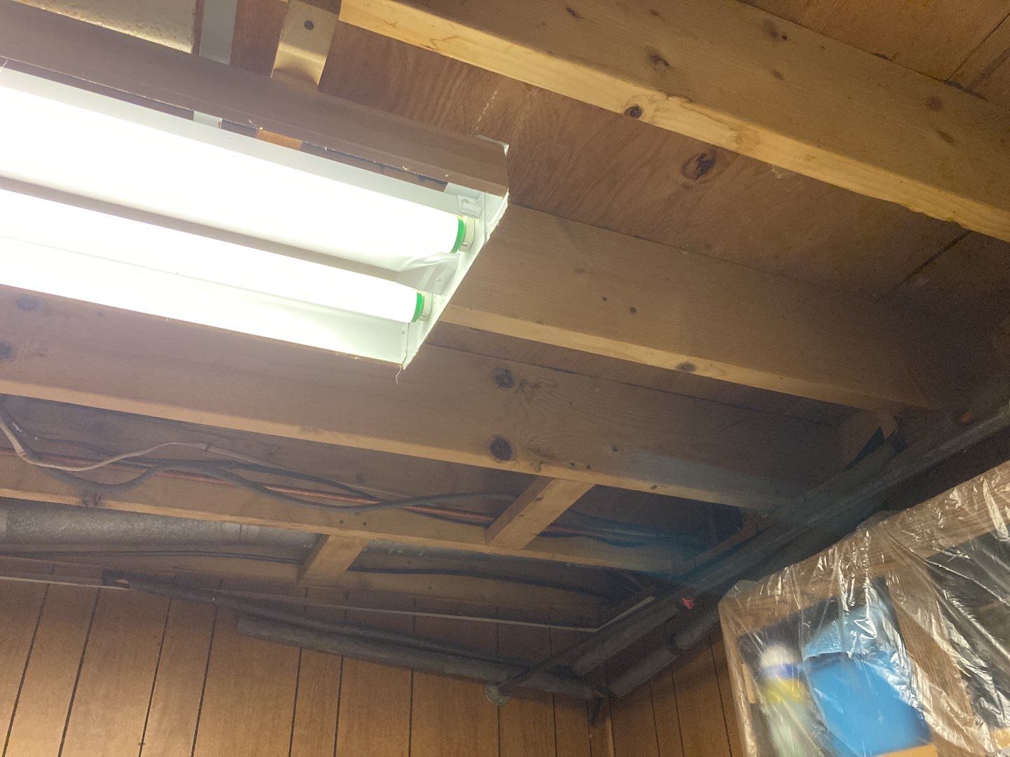 Mold Remediation using Containment by Accountable Home Services