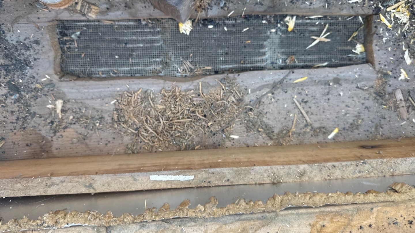 Roof Replacement using Malarkey Legacy Natural Wood by 180 Contractors