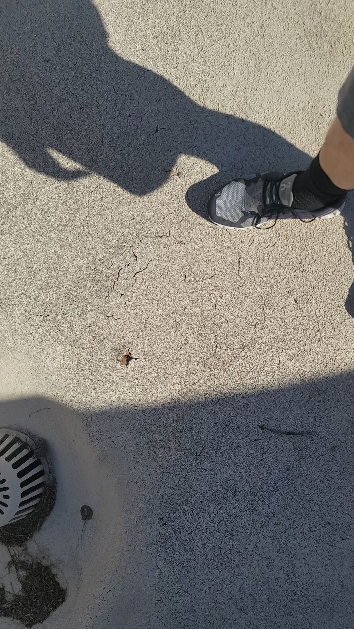 Christ The King by C&N Roofing  INC 