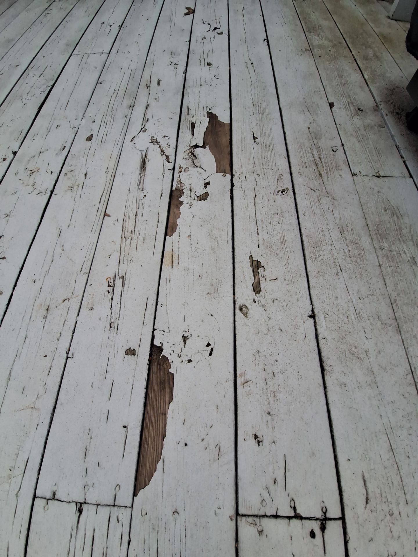Deck and Shed Re-paint by Gordon Painting