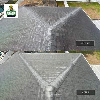 Shingle Roof Cleaning for Oviedo Residential Property
