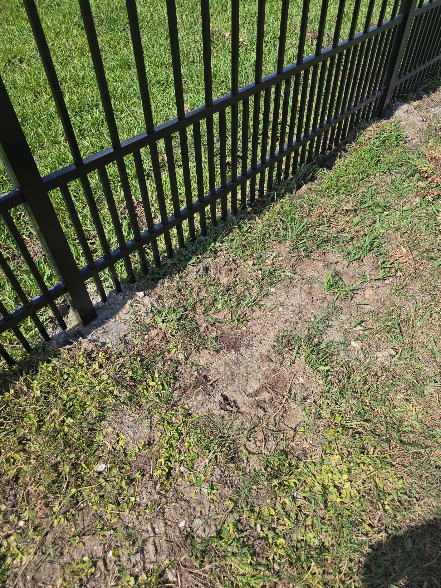 Puppy Picket Aluminum in Venice by True Fence LLC