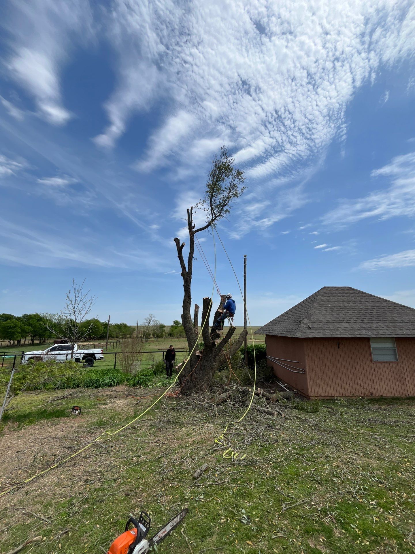 Tree Removal by Clays Services Inc