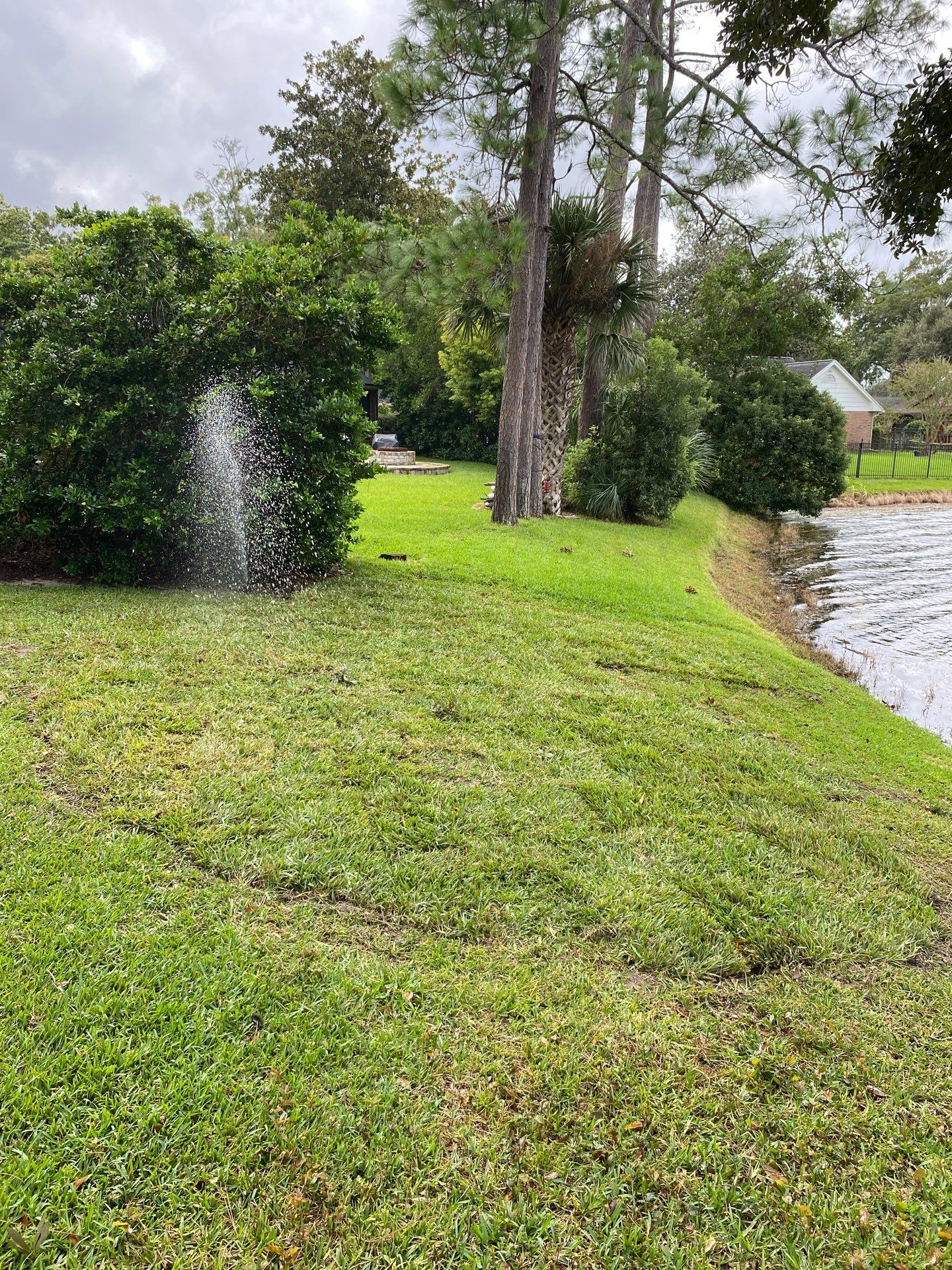 Deerwood Resident | Sod Replacement by ProGreen Services