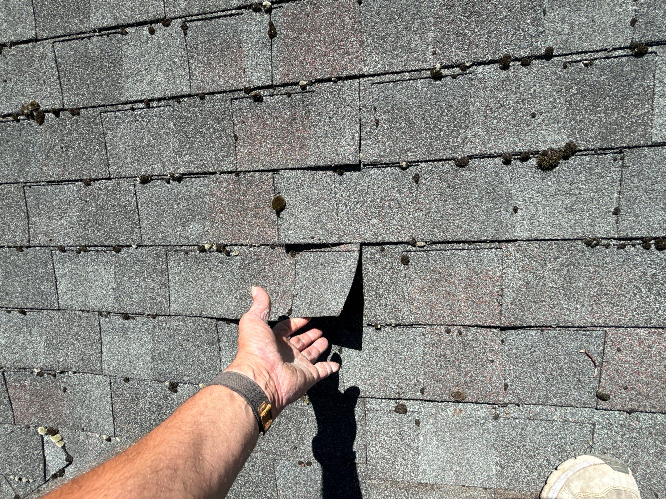 Roof Replacement using CertainTeed Landmark by 180 Contractors