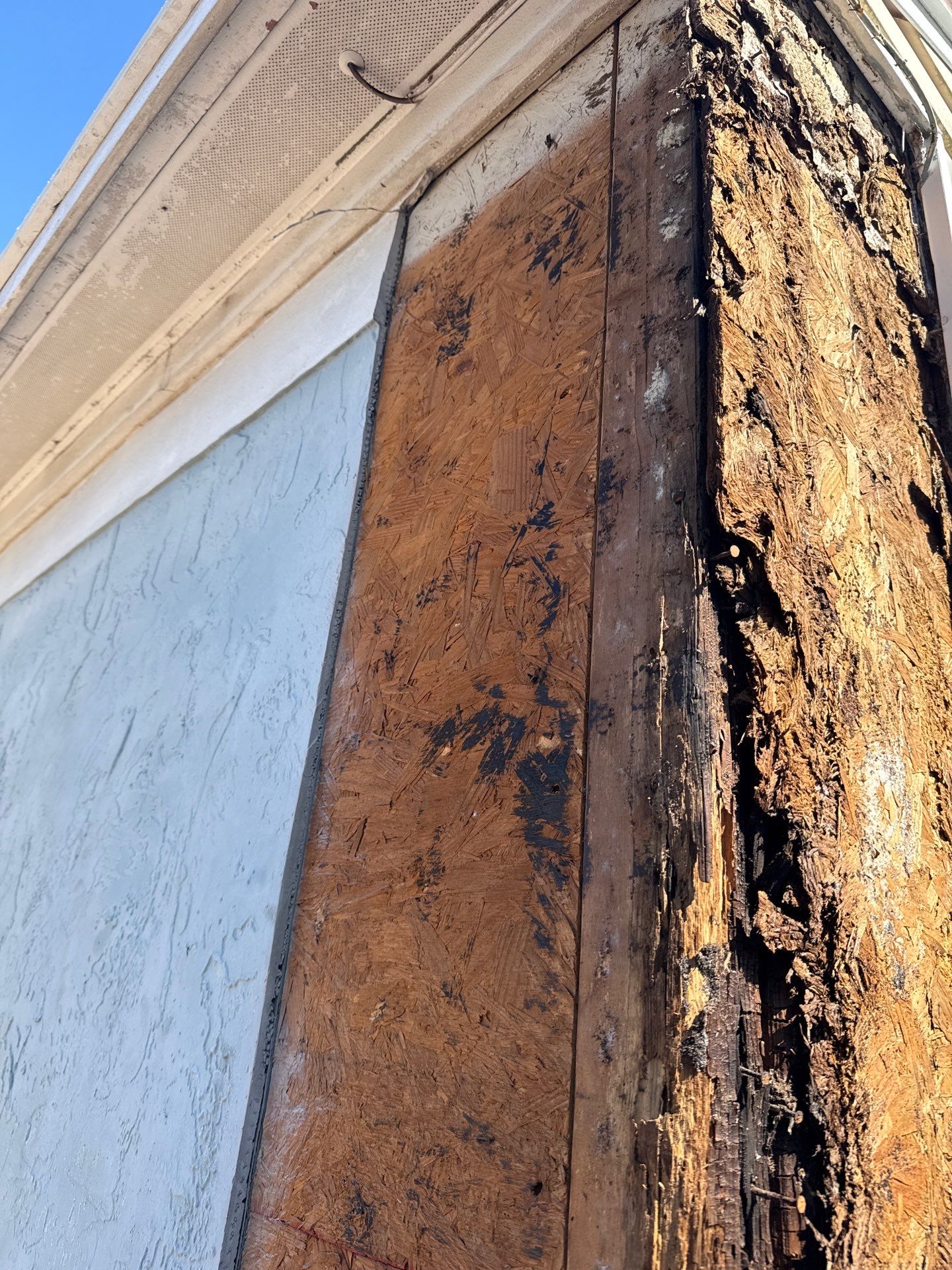 Roof Replacement in Tampa, FL by Shingle Masters Roofing