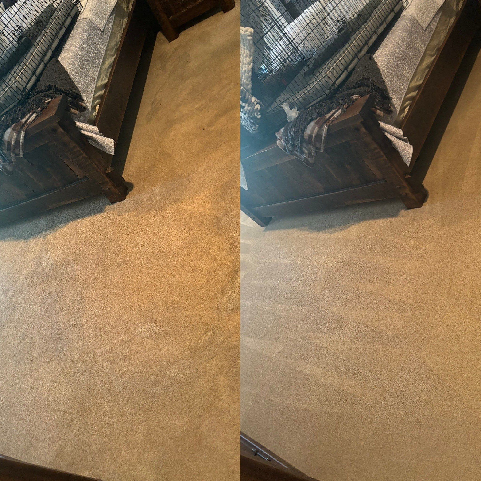 the service is deep cleaning of carpet removing stains and dirt resulting in a noticeably cleaner and refreshed surface