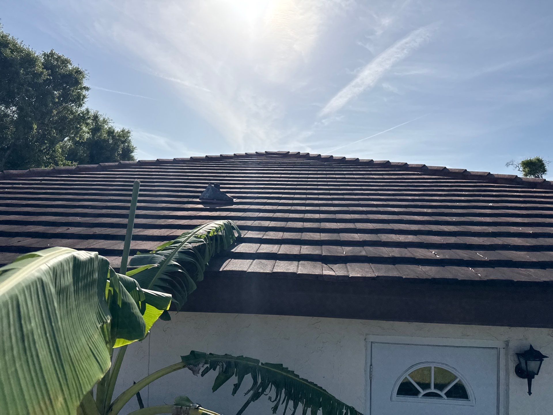 Tile Roof Cleaning in Vivienda at Bradenton, FL | No Roof Walking Method by Sunshine AquaWash