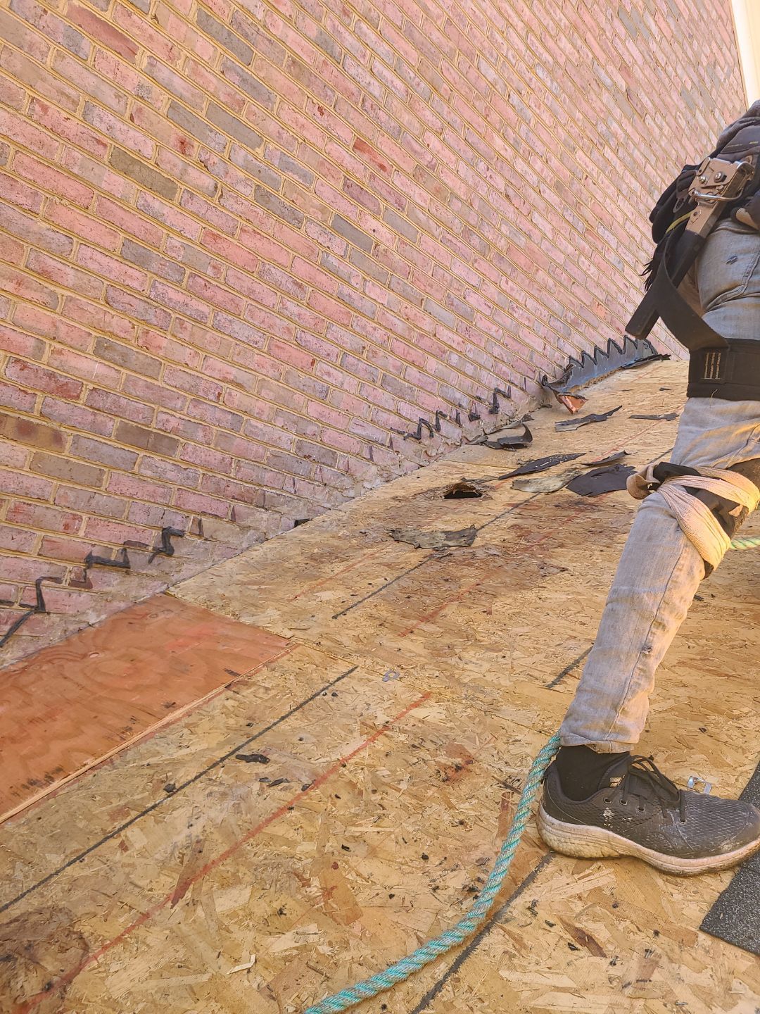 Alexandria: Residential Roof Replacement with CertainTeed Landmark Pro Designer Shingles in Max Def Moire Black by RM Banning, Inc.