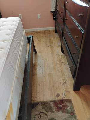 Flood Damage Claim in Holmes Beach