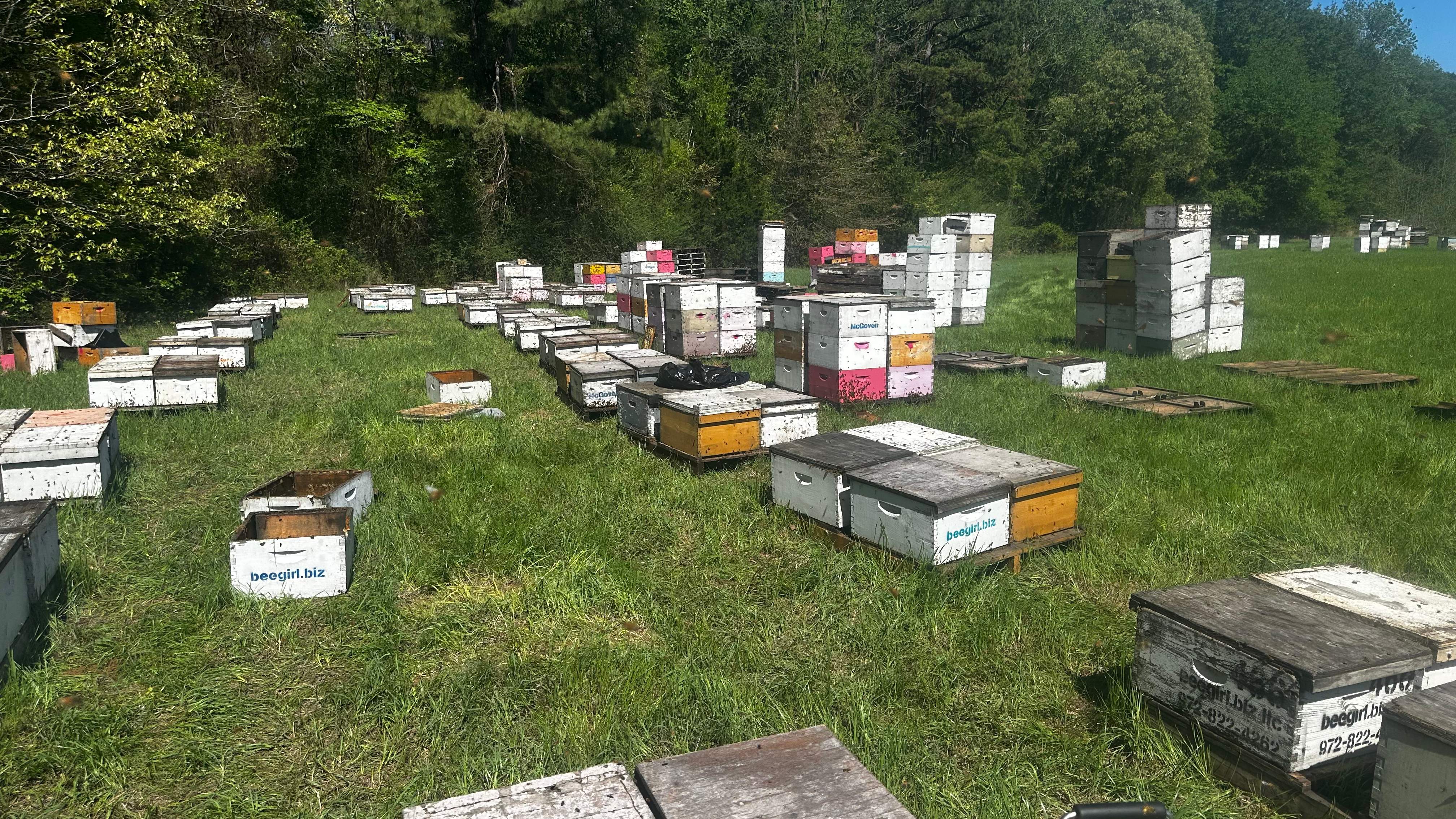 Traylor's Hay Meadow Apiary by Rockwall Honey Bee Company