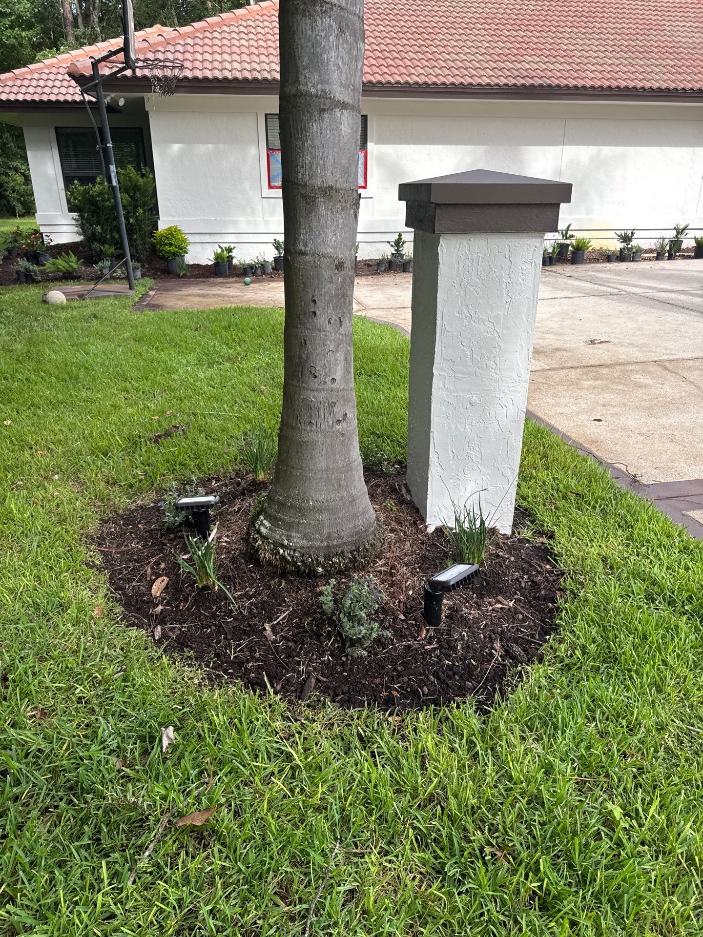 Deerwood Resident | Bed Design & Upgrade by ProGreen Services