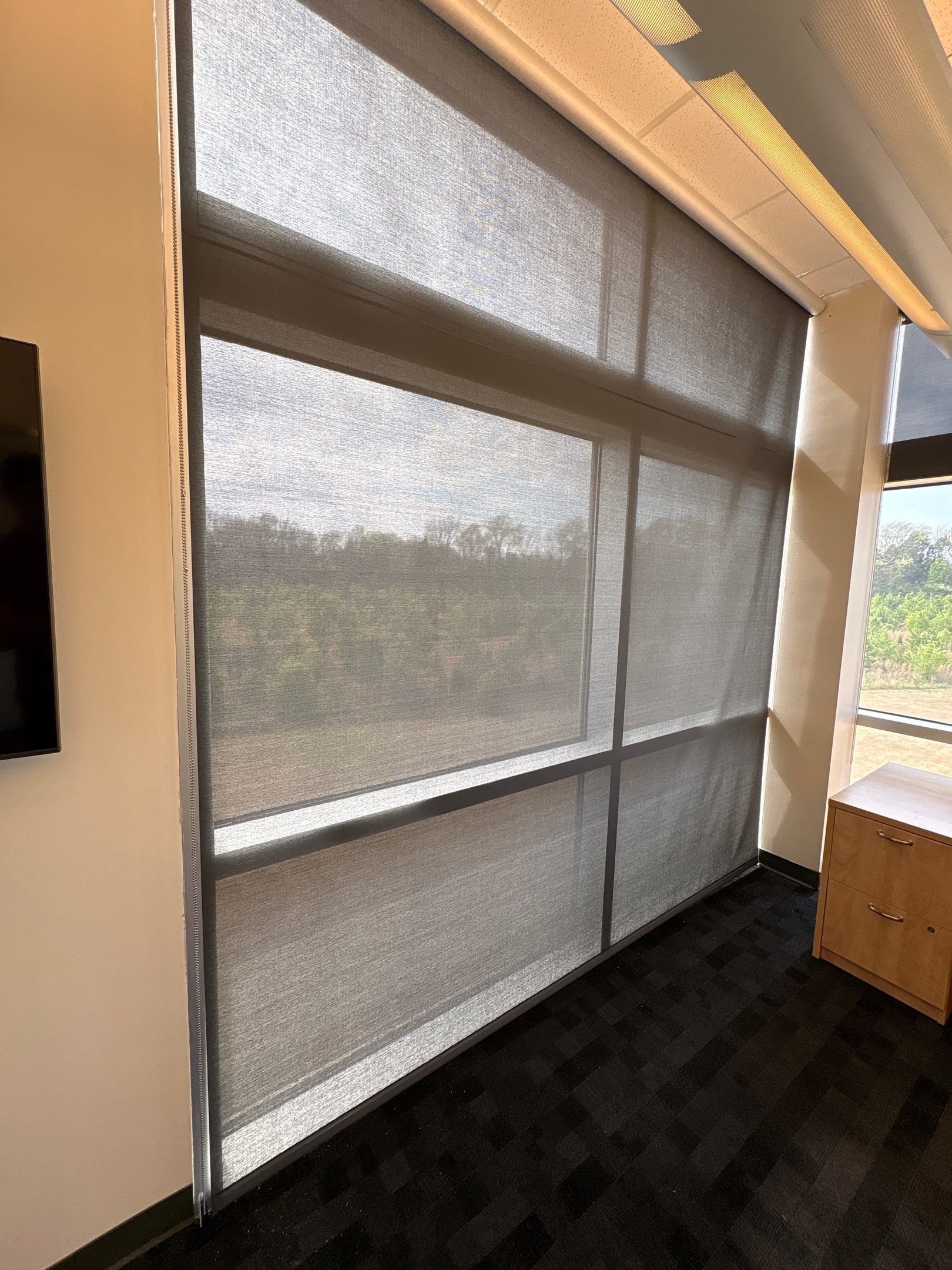 Silver Screen Heat Blocking Shade by Blinds and Borders