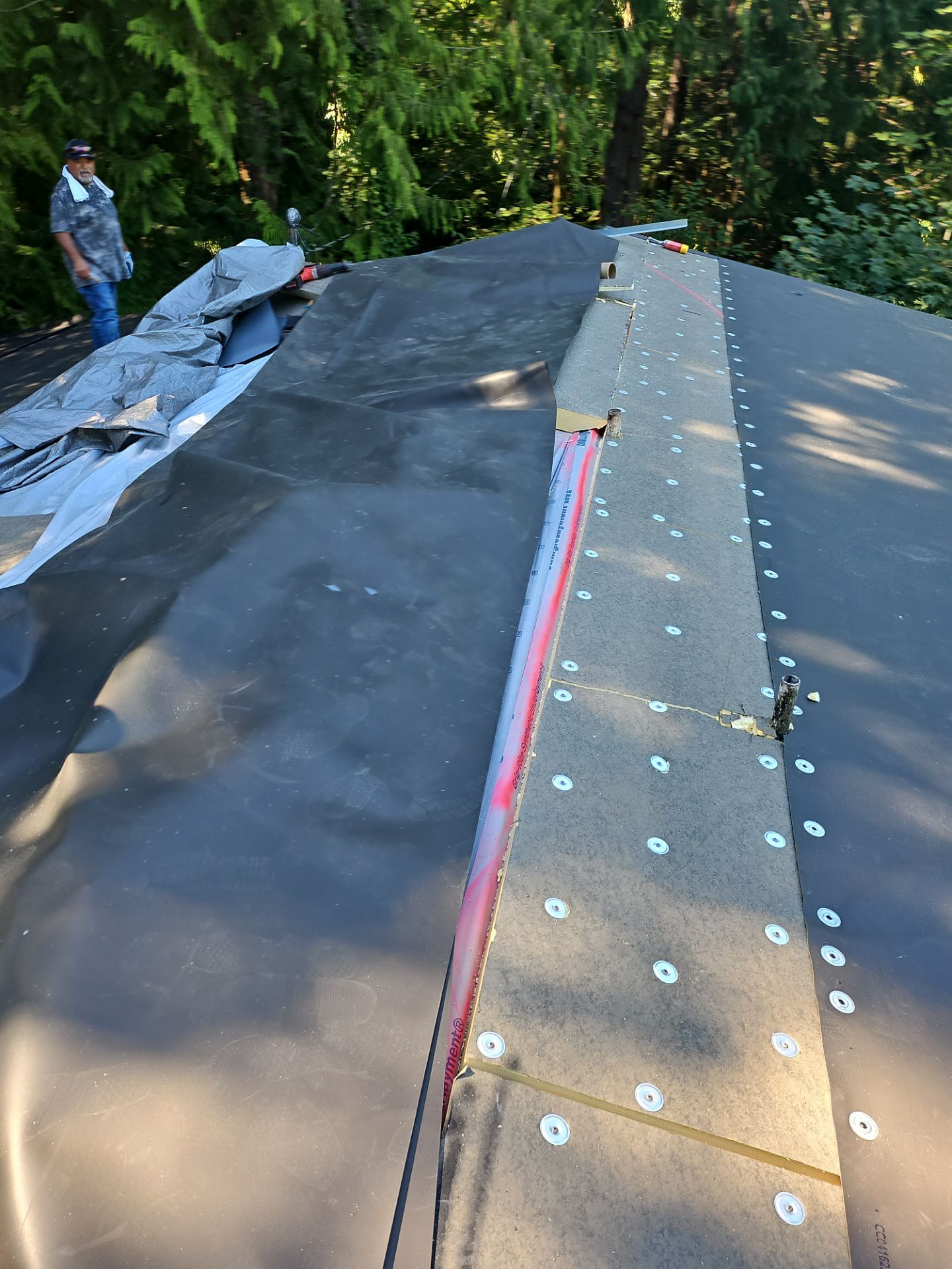 Project in Seattle by Peaks and Valleys Construction