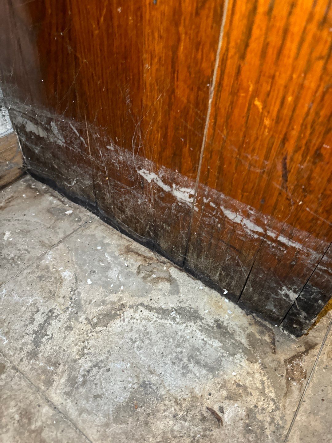 Water pipe break behind a wall by Chicagoland Water Medics