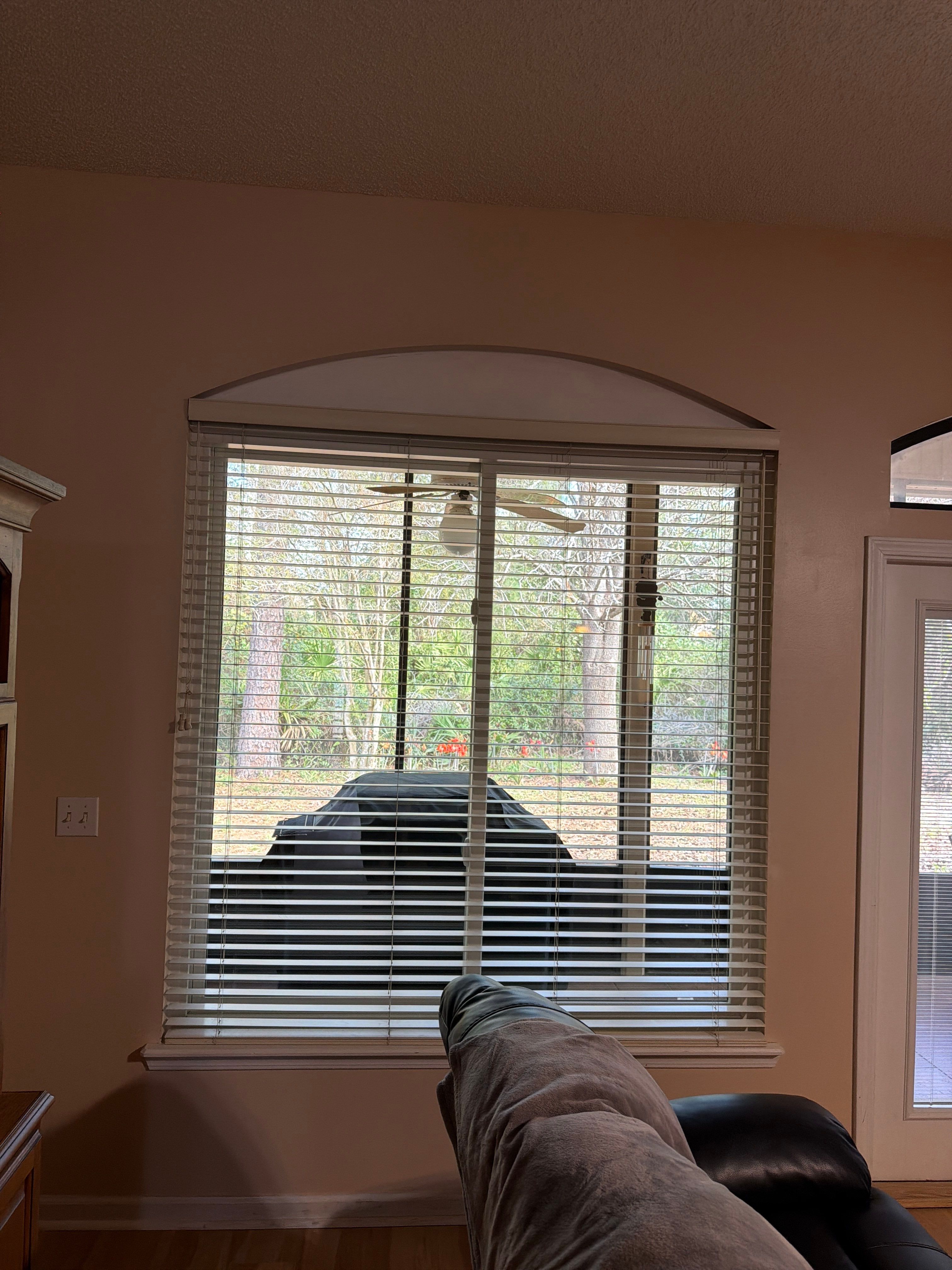 Full Home Andersen Window Replacement for Jacksonville Residence by Windows & Doors Store