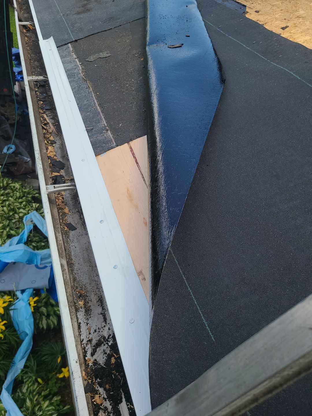 Springfield: CertainTeed Landmark Pro Designer Shingles in Max Def Moire Black by RM Banning, Inc.