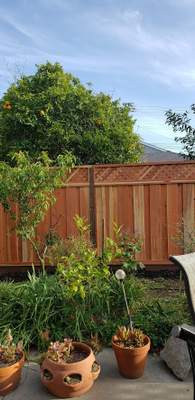 Fence Installation
