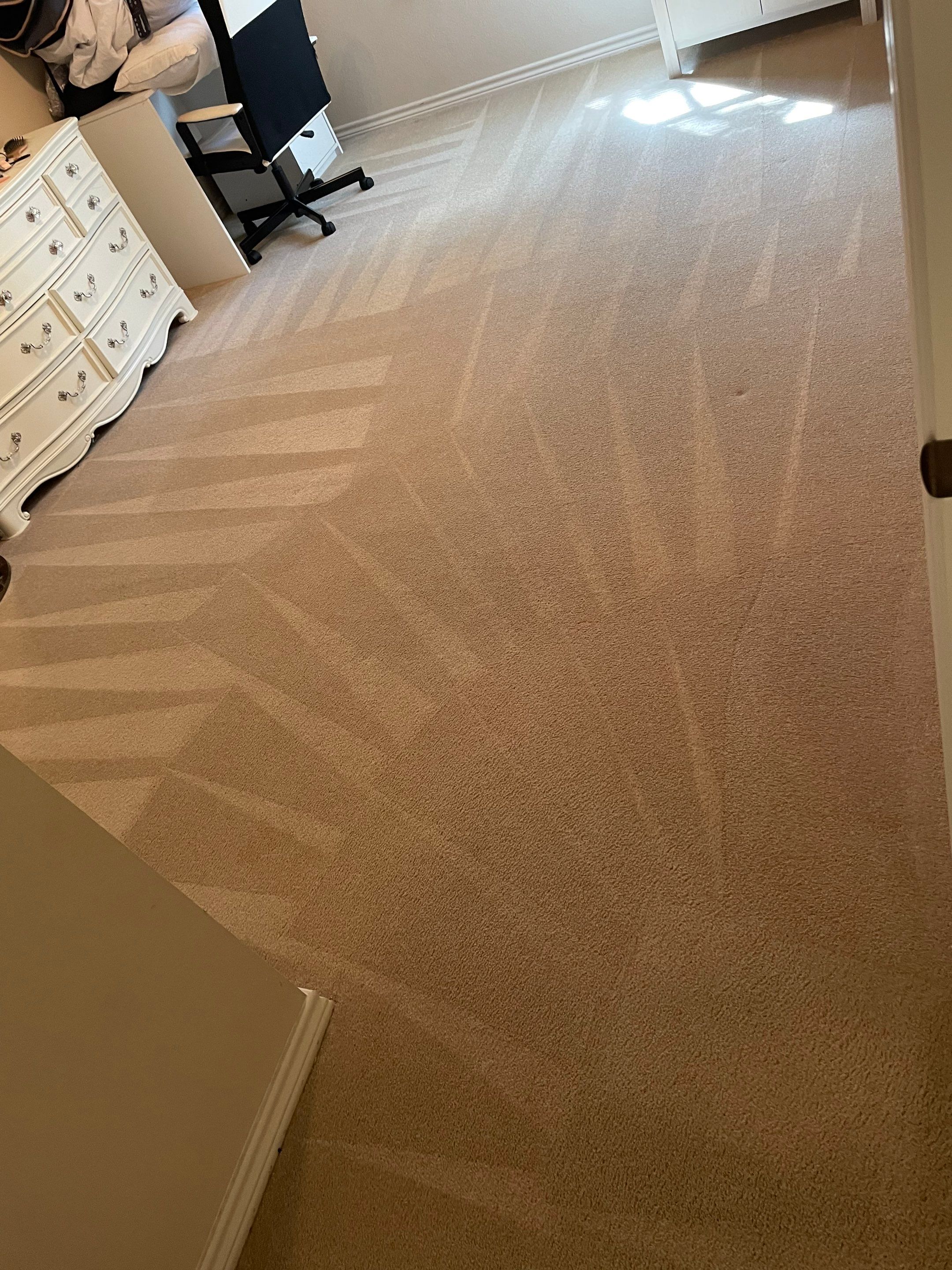 the service being done is carpet cleaning in a residential space with visible patterns from the cleaning equipment