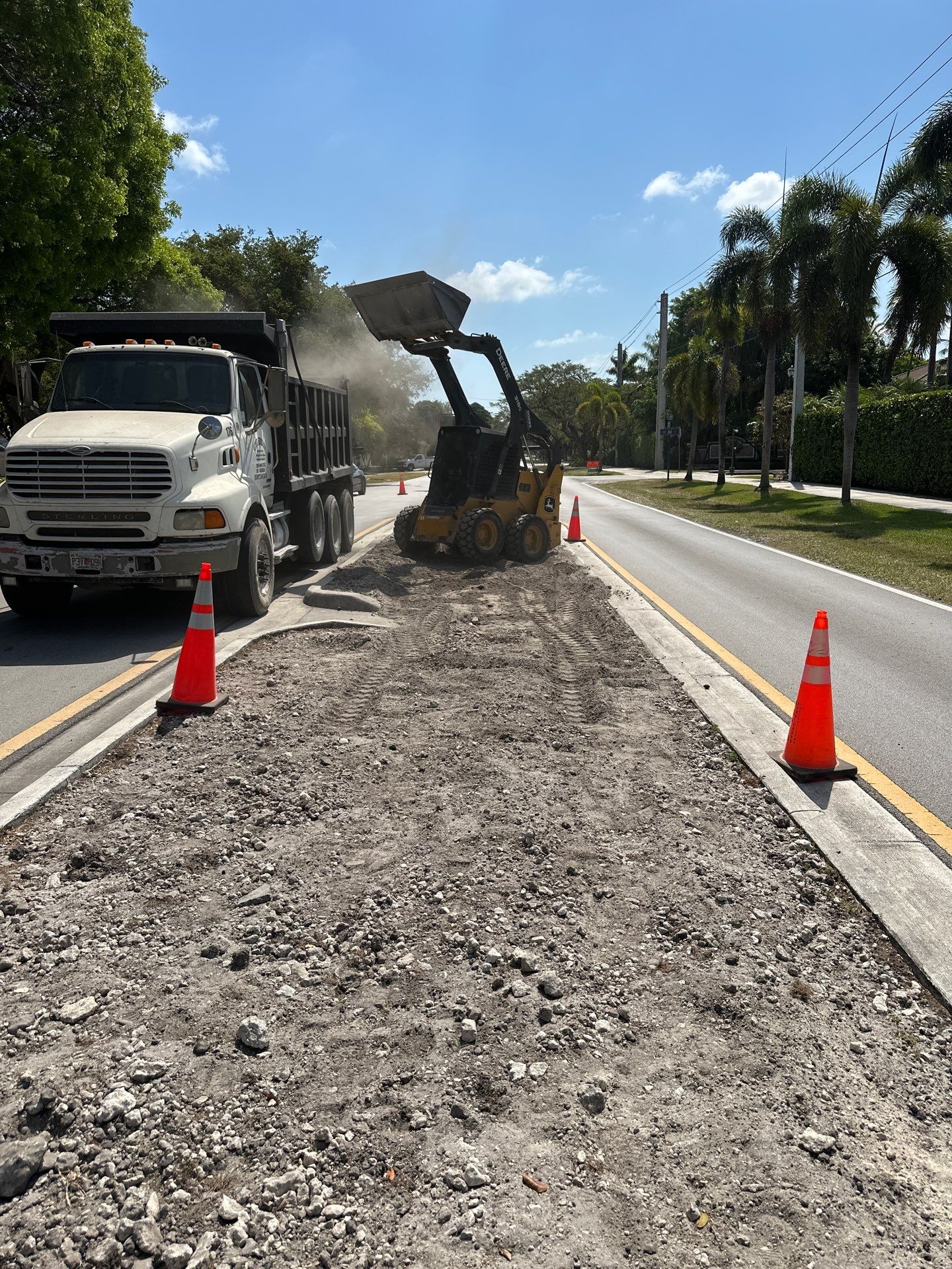 Pinecrest Median - New Native Landscape by Nature's Dream by Nature's Dream Landscape and Tree Service