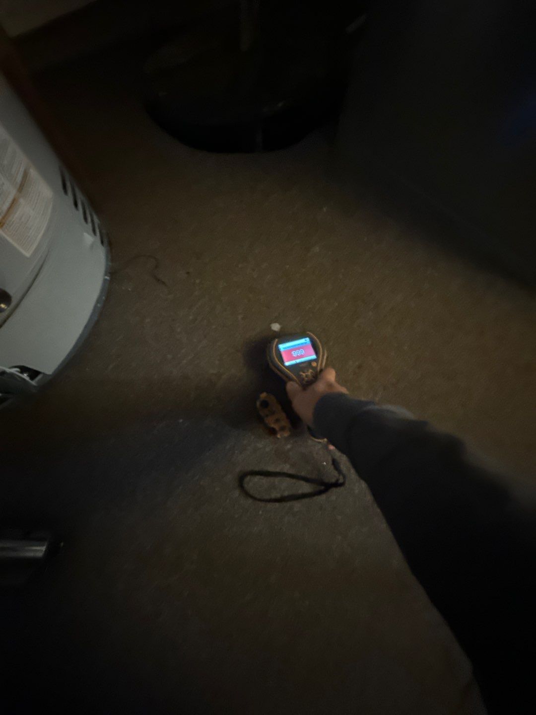 Project in West Bloomfield Township by EzDry Water Mitigation & Property Restoration