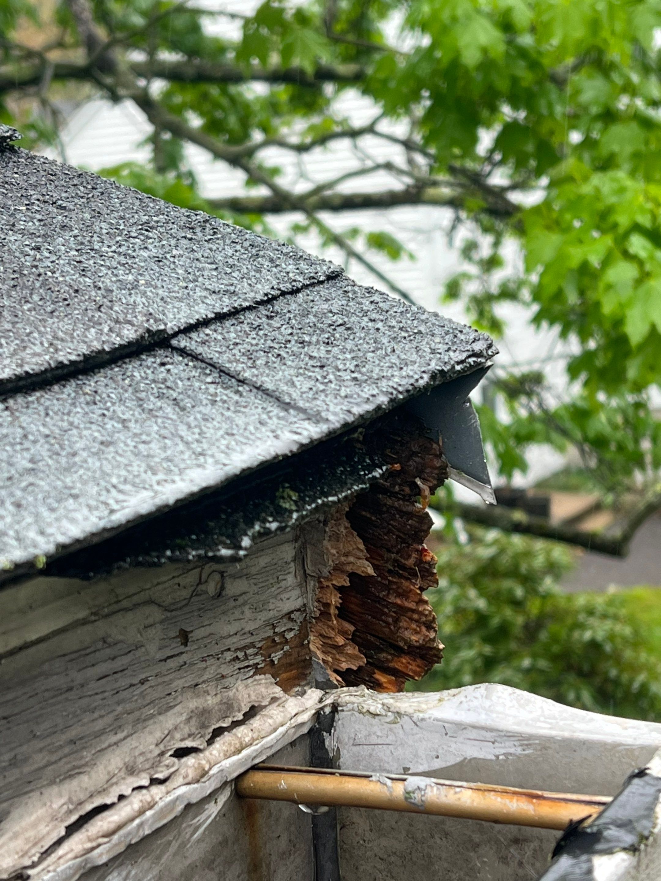 Gutters & Roofing | Acton by Mighty Dog Roofing of Greater Middlesex County
