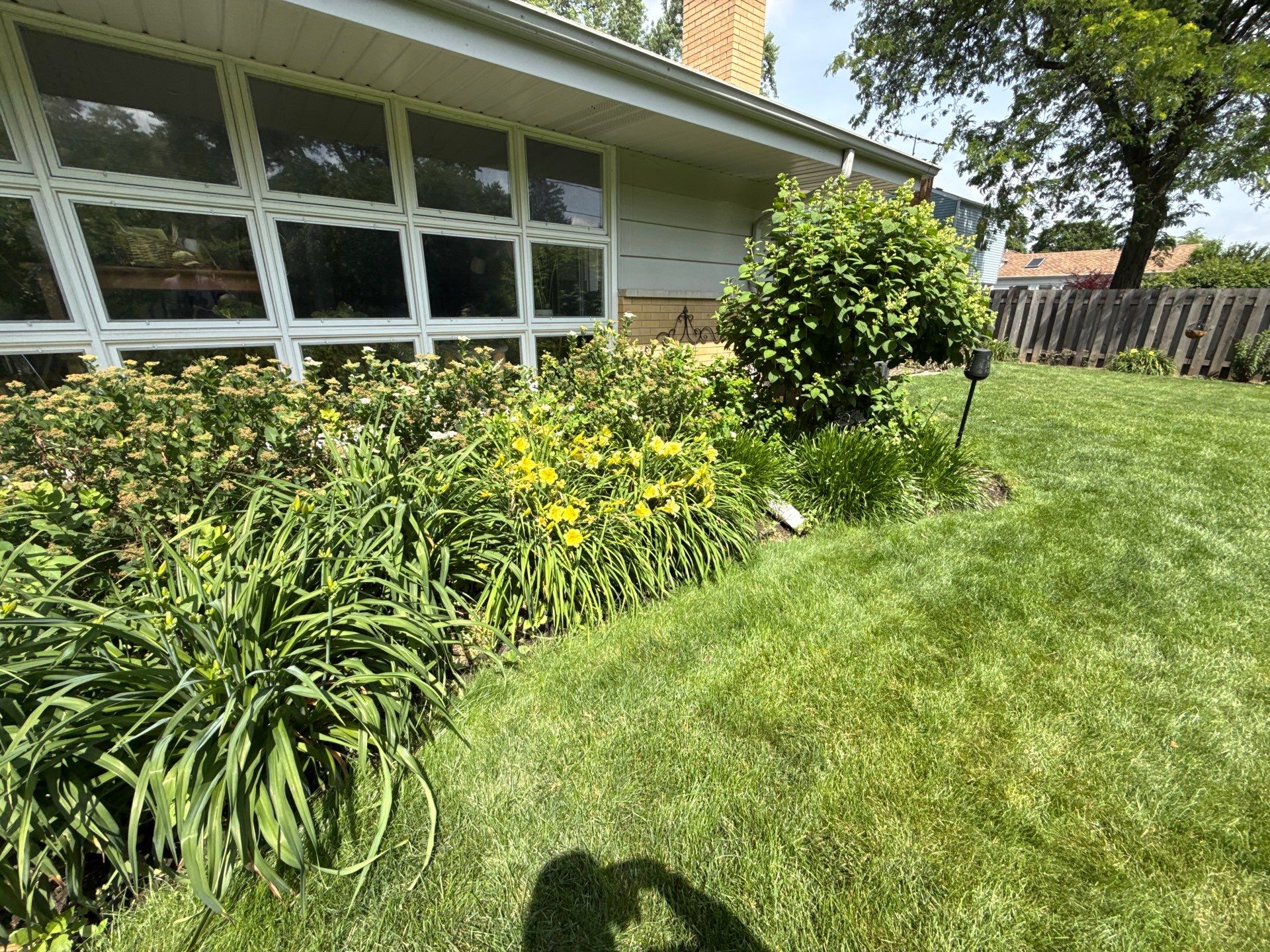 Cheris B. - Mount Prospect, IL by A&N 