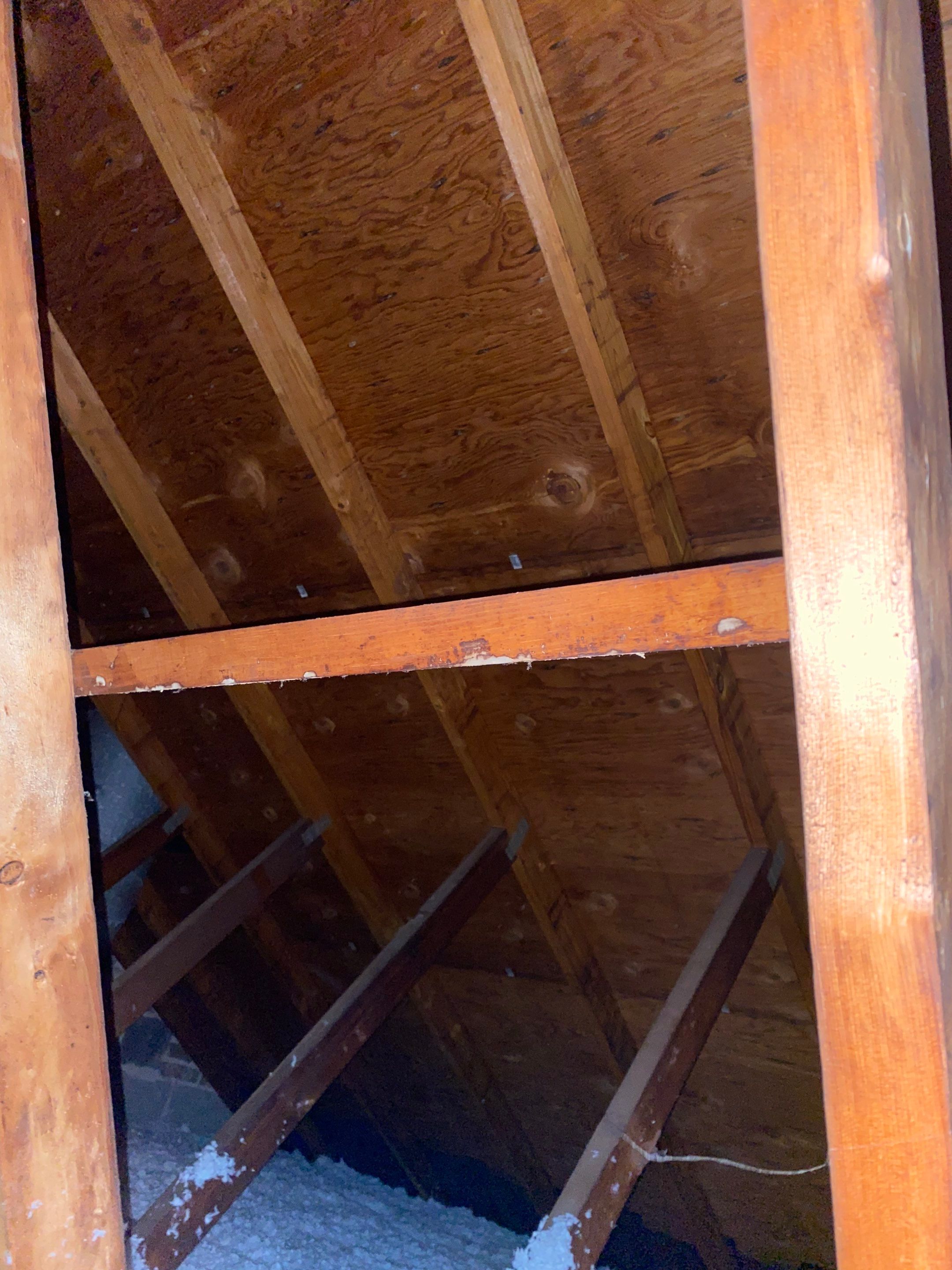 Springfield: Residential Roof Replacement with CertainTeed Landmark Pro in Max Def Burnt Sienna by RM Banning, Inc.