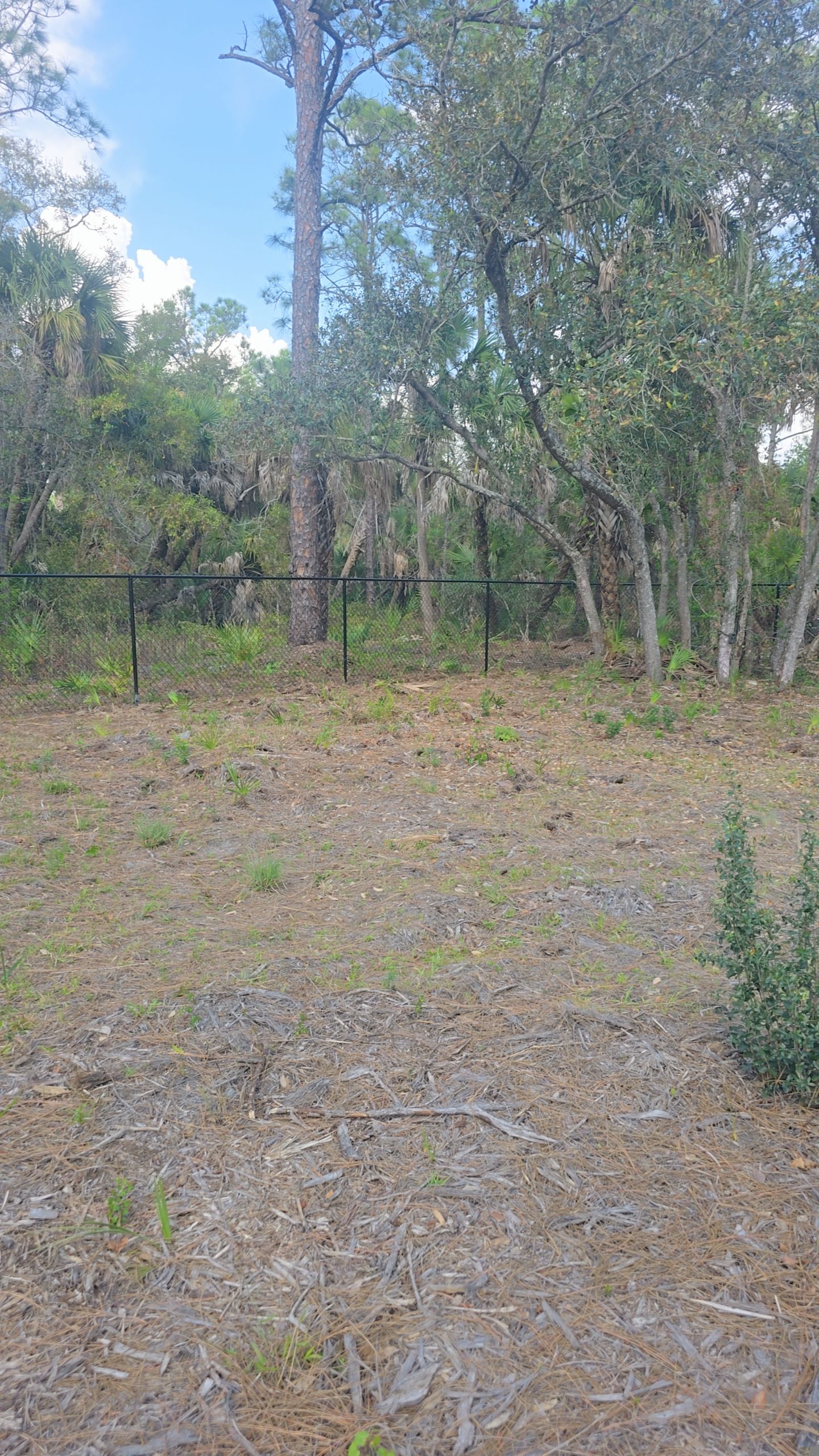 Chain Link Install in North Port by True Fence LLC