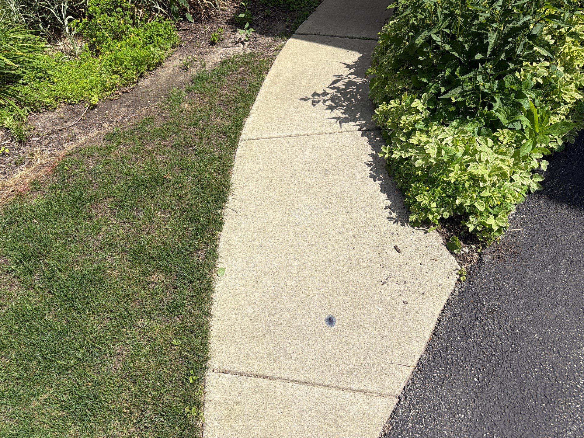 Brick Paver cleaning, sanding, seal by Northern Power Washing LLC.
