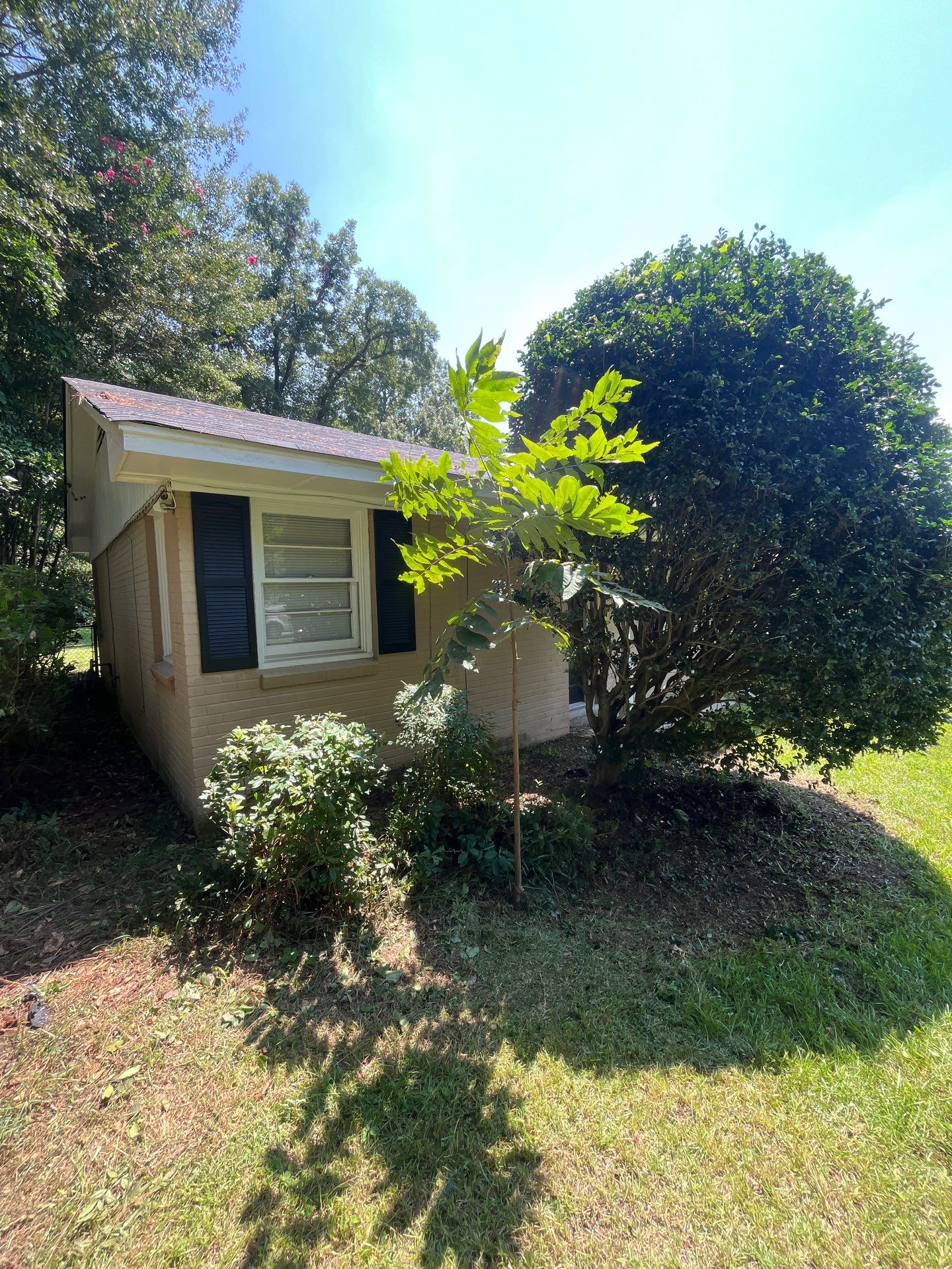 Yard Makeover by College Bros Outdoor services
