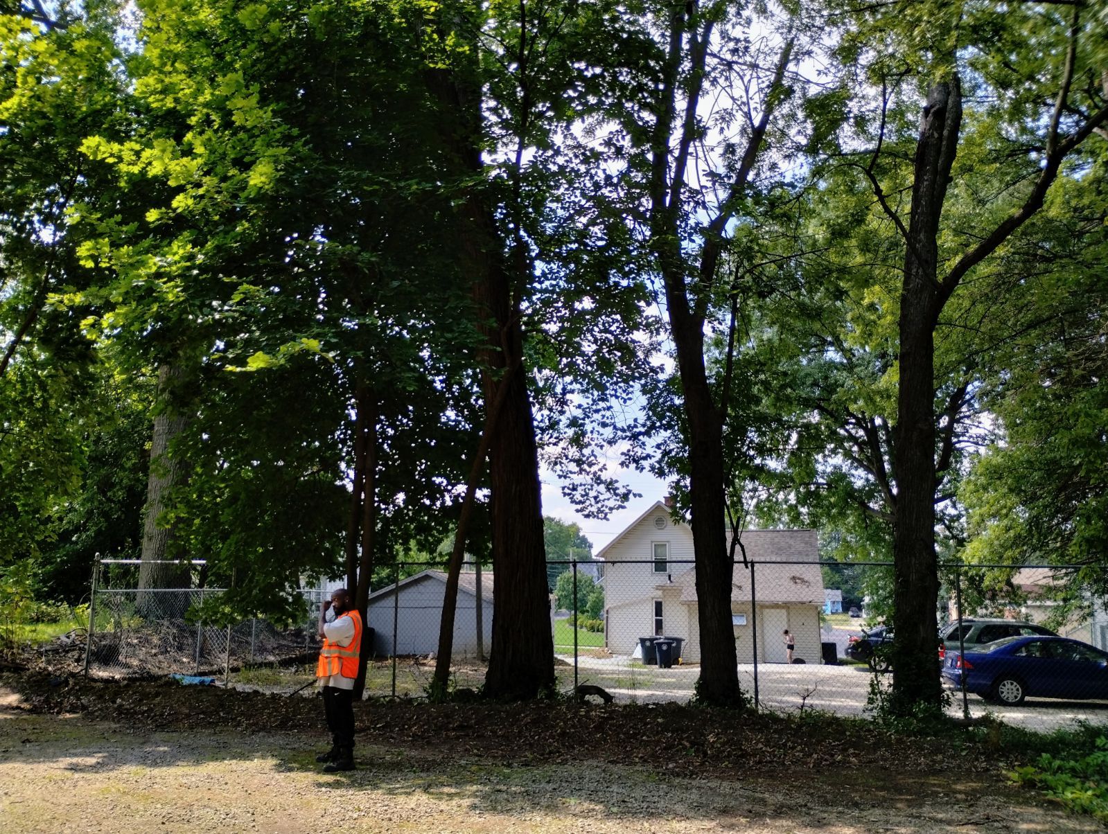Tree Trimming using Tree Pruing by Mike Jones & Sons Tree Service LLC 