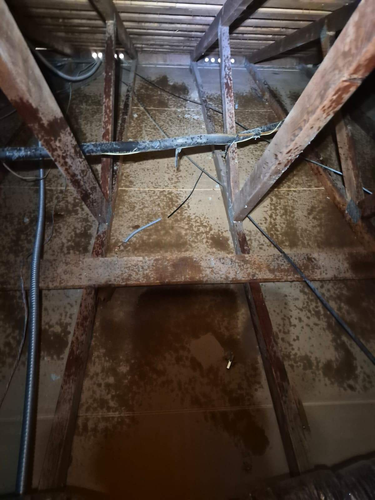 Project by Advanced Attic Solutions by Advanced Attic Solutions