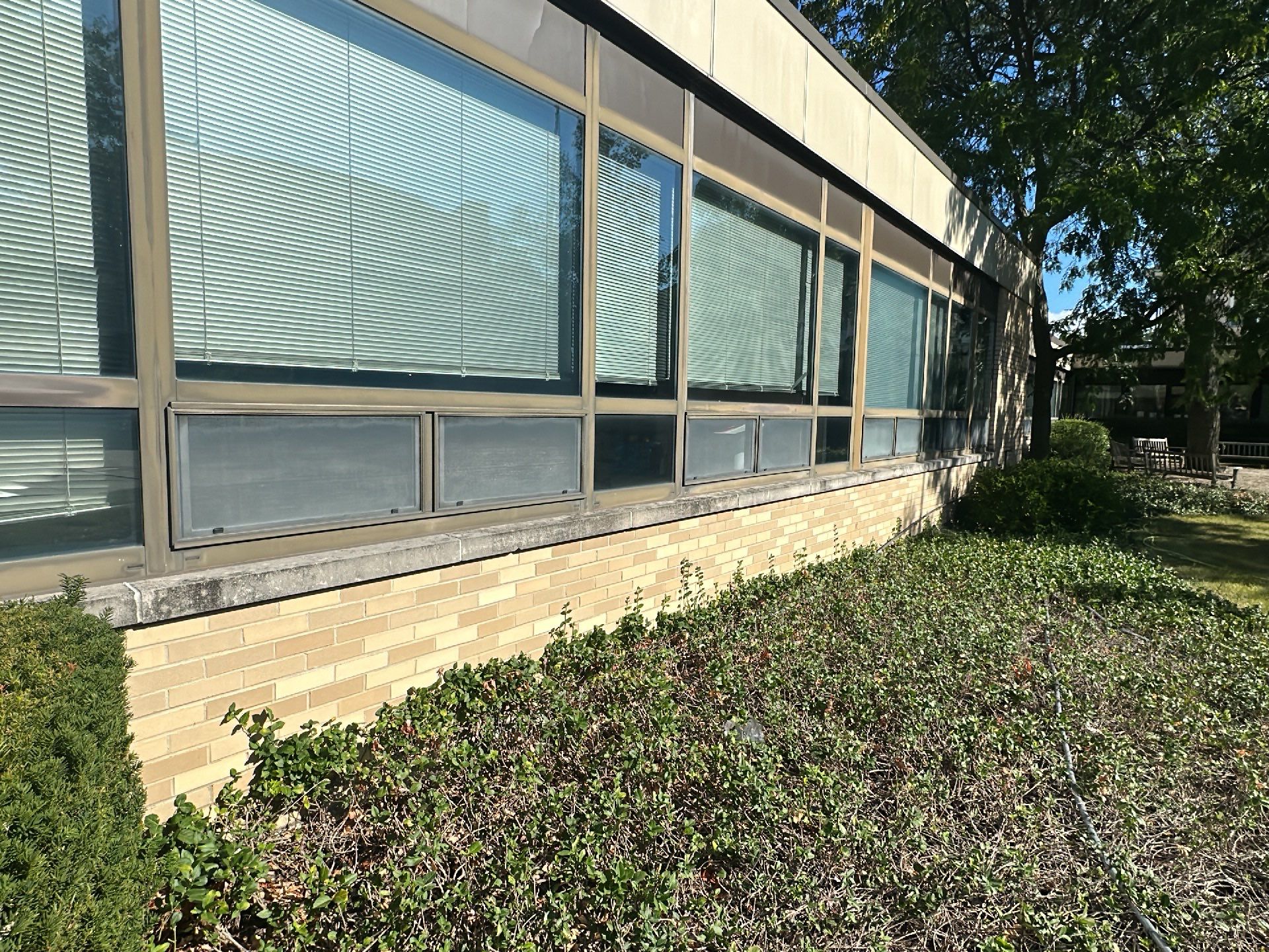 commercial pressure washing using Algaecide, soft wash soap by Northern Power Washing LLC.