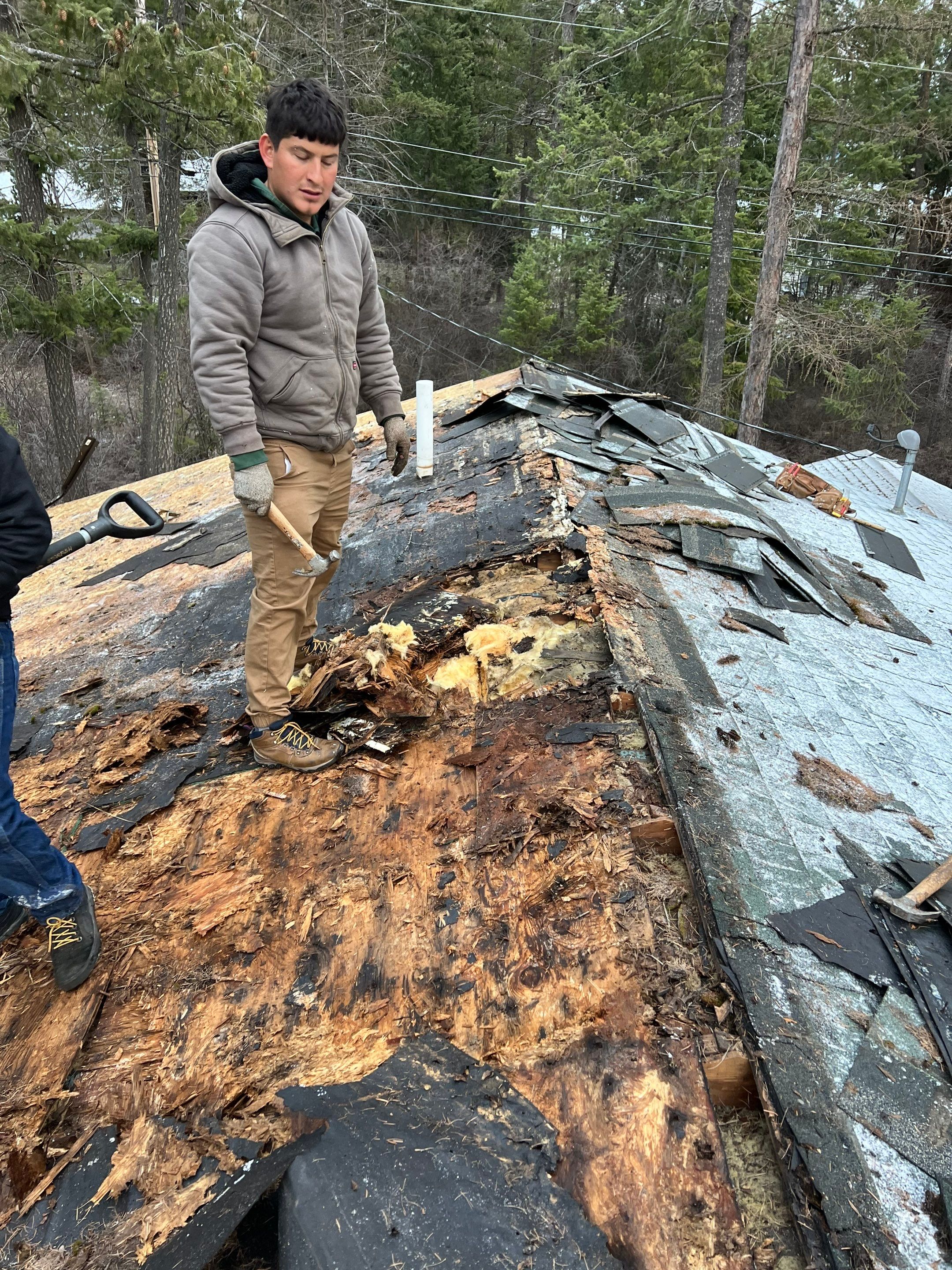 GAF Timberline HDZ - Hunter Green by Montana Roofing Solutions