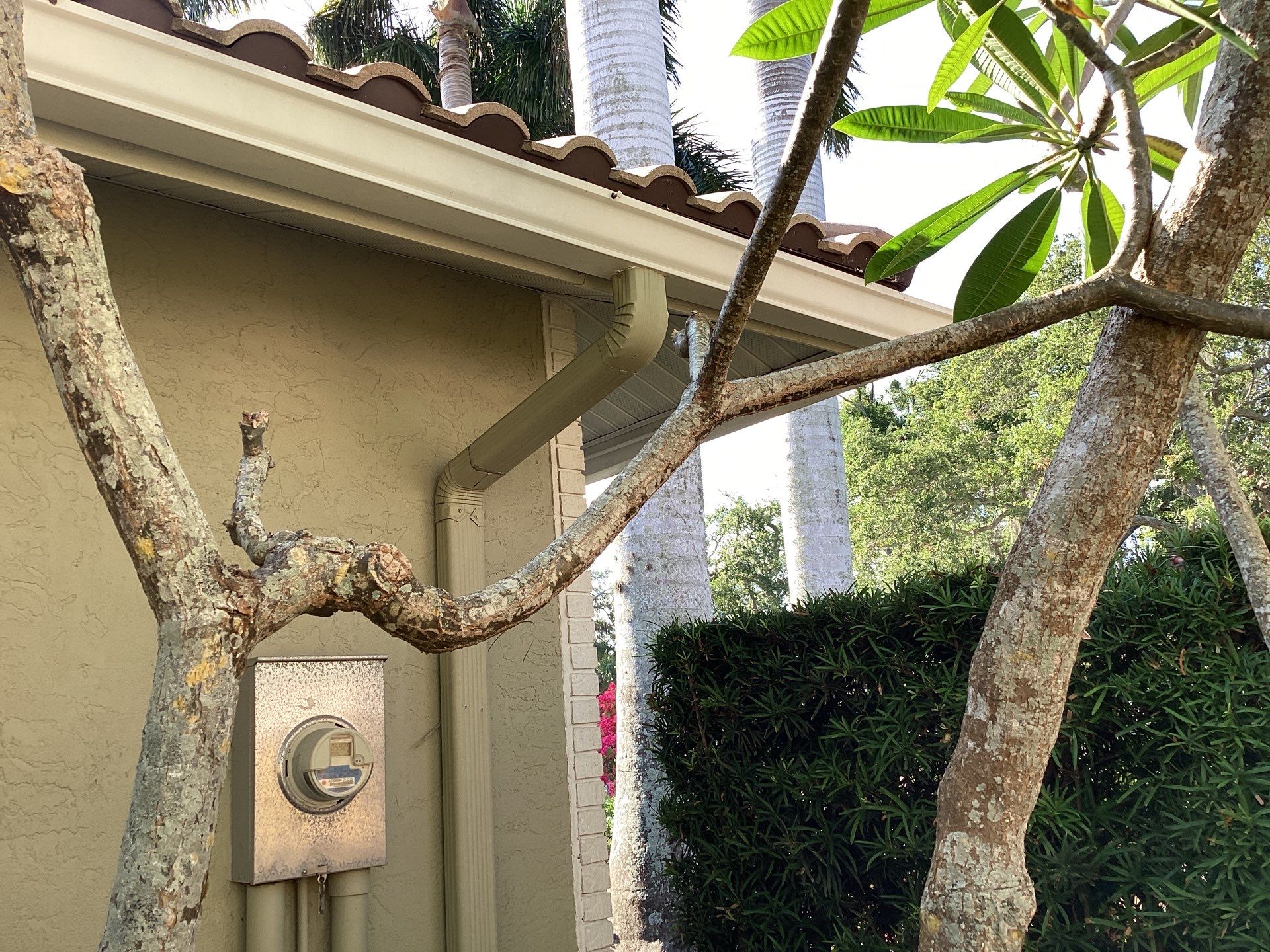 White Gutter Installation in Sarasota FL by Gutter Professors