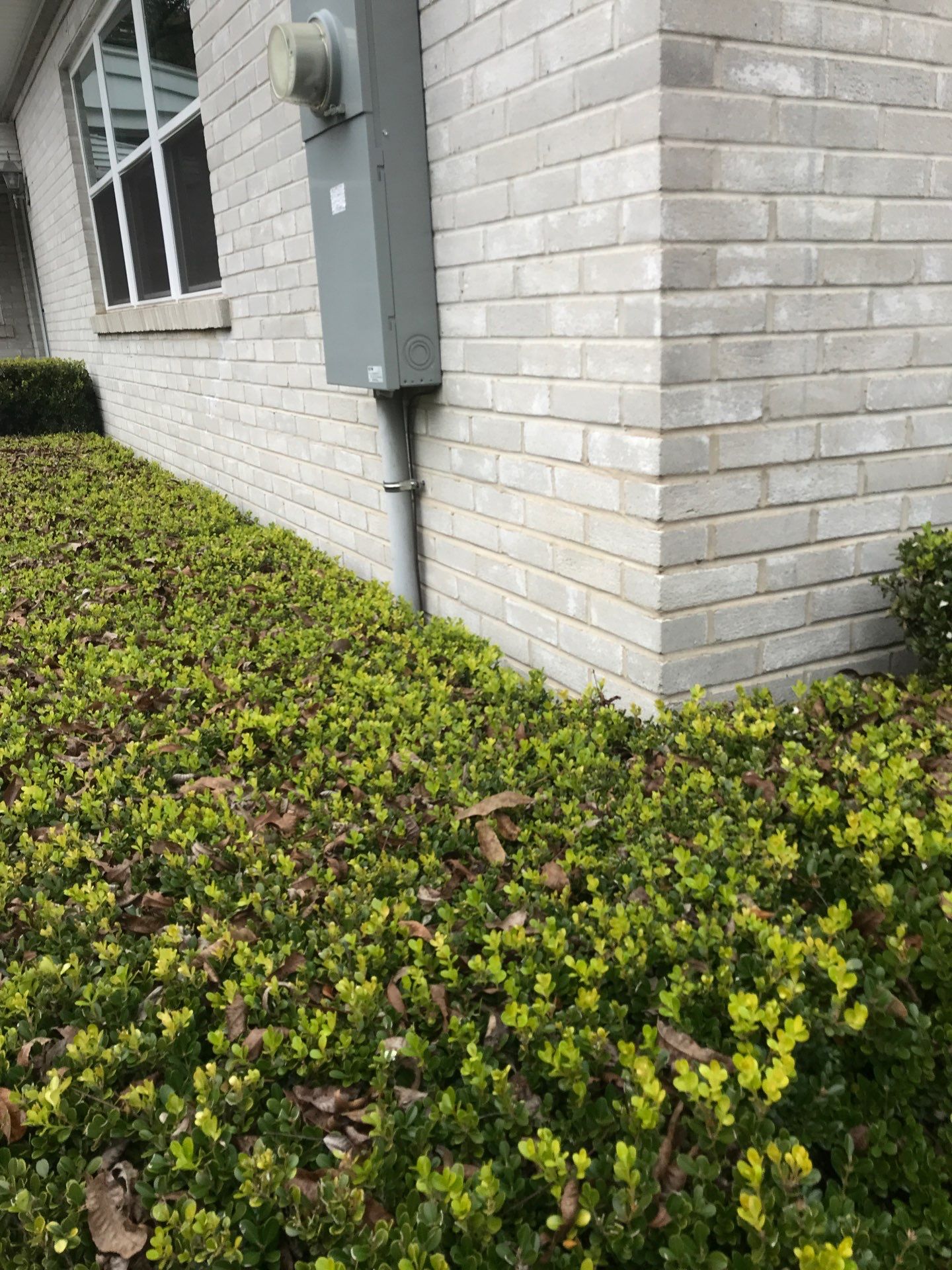 Trench and install subpanel by JB's Contracting and Maintenance LLC